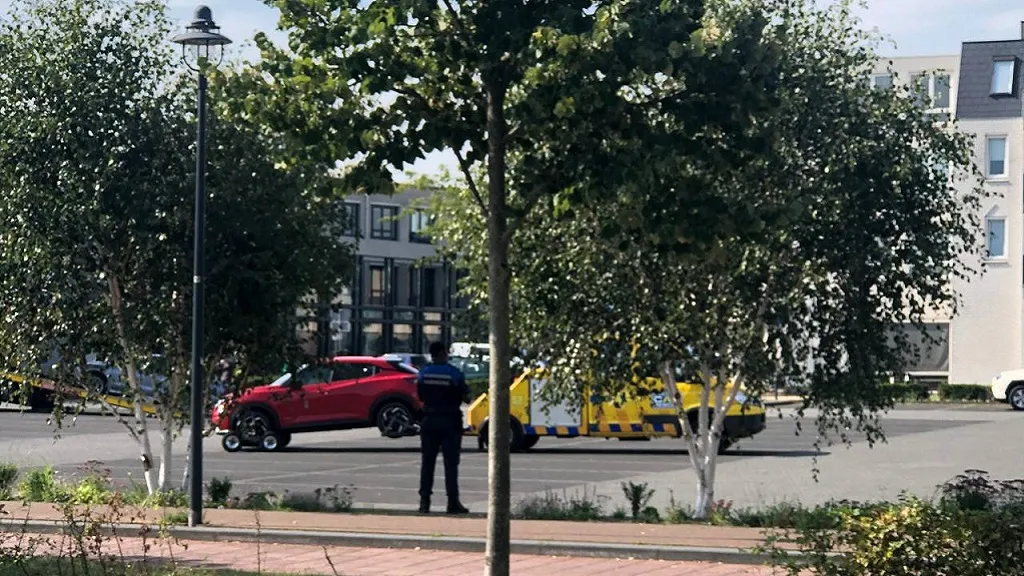 photo 2023 09 12 15 15 47