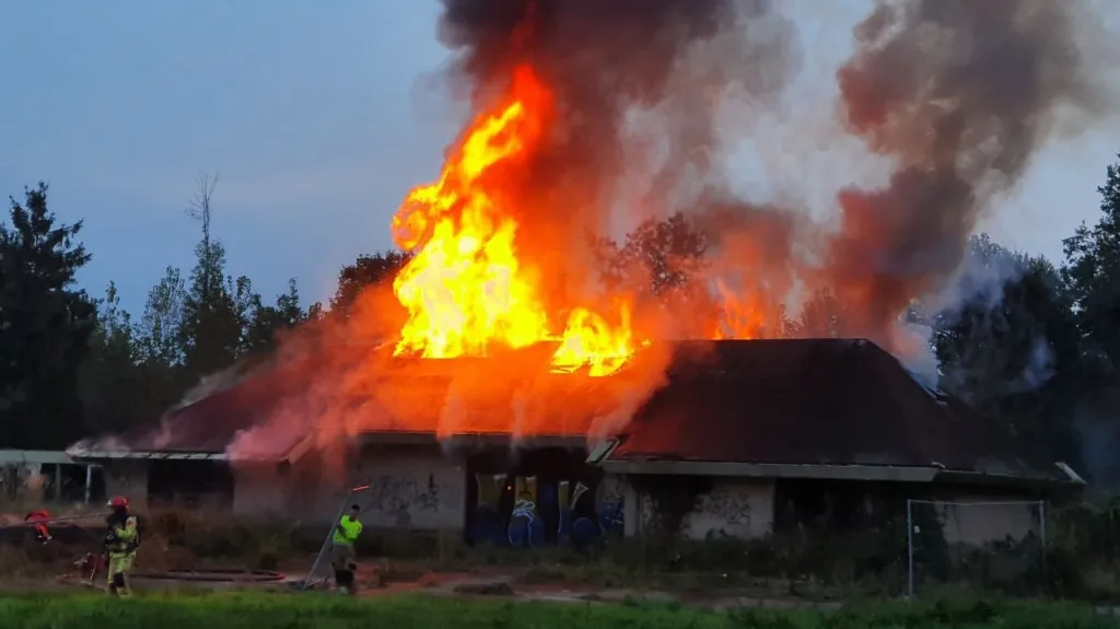 photo 2023 10 08 19 09 12