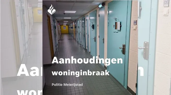 politie veghel