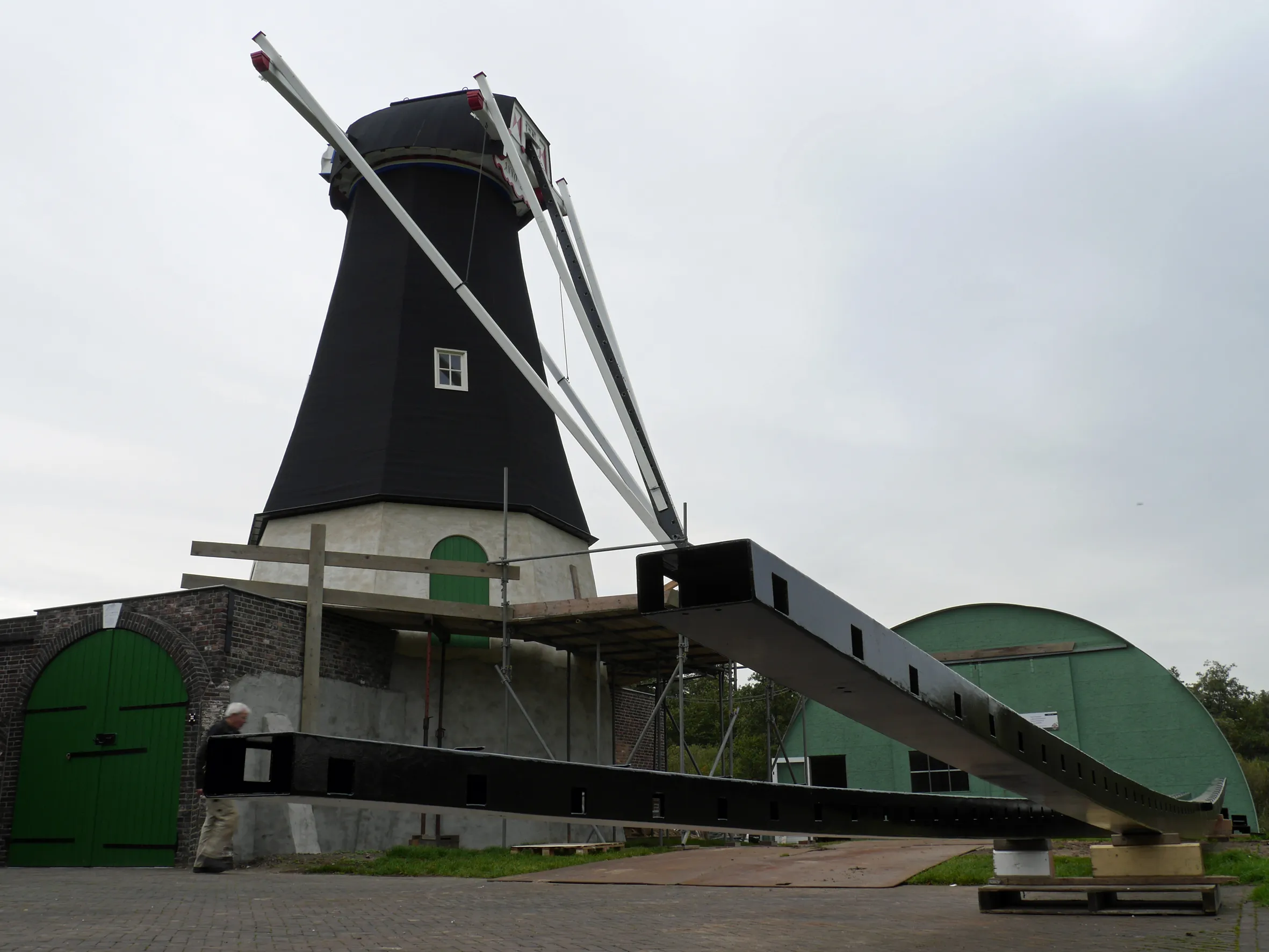 roeden op molenterrein