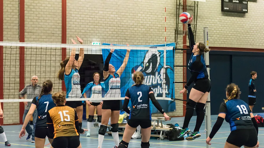 skunk dames 1 896x504