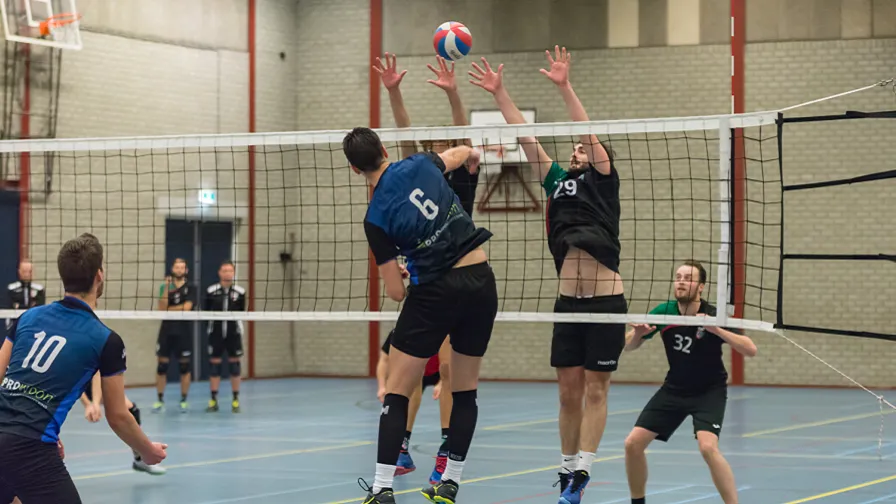 skunk heren 1 896x504