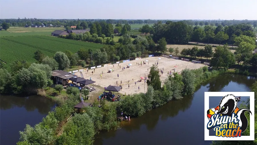 skunk on the beach 896x504