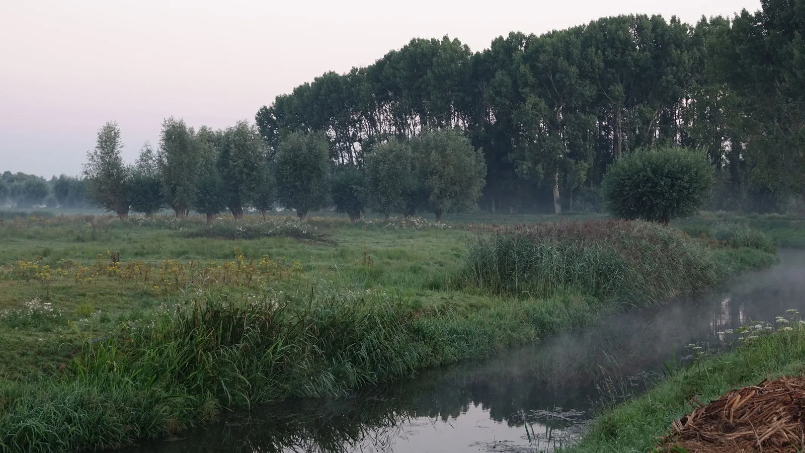 waterschap aa en maas