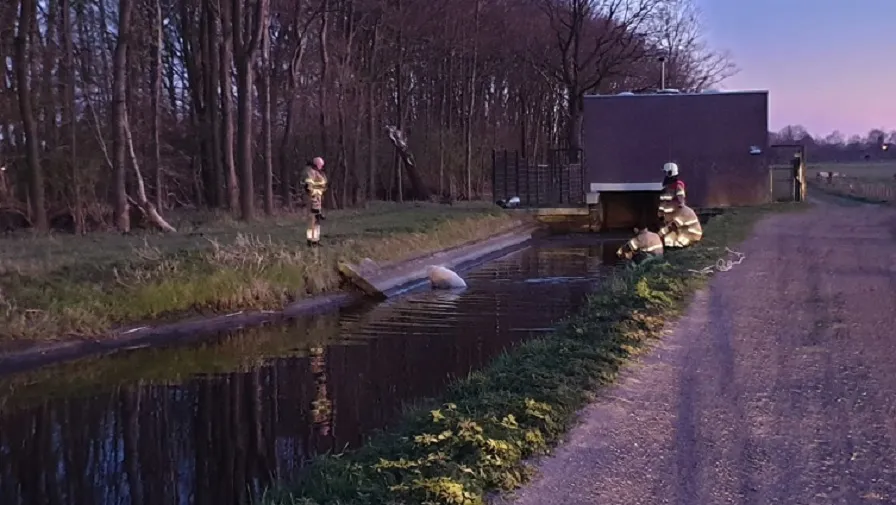 whatsapp image 2020 03 31 at 204358