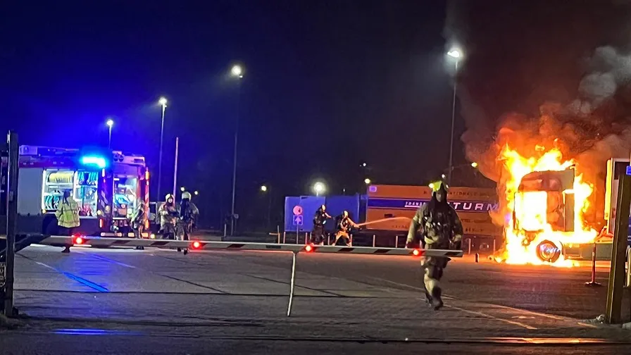 whatsapp image 2022 11 26 at 73820 am