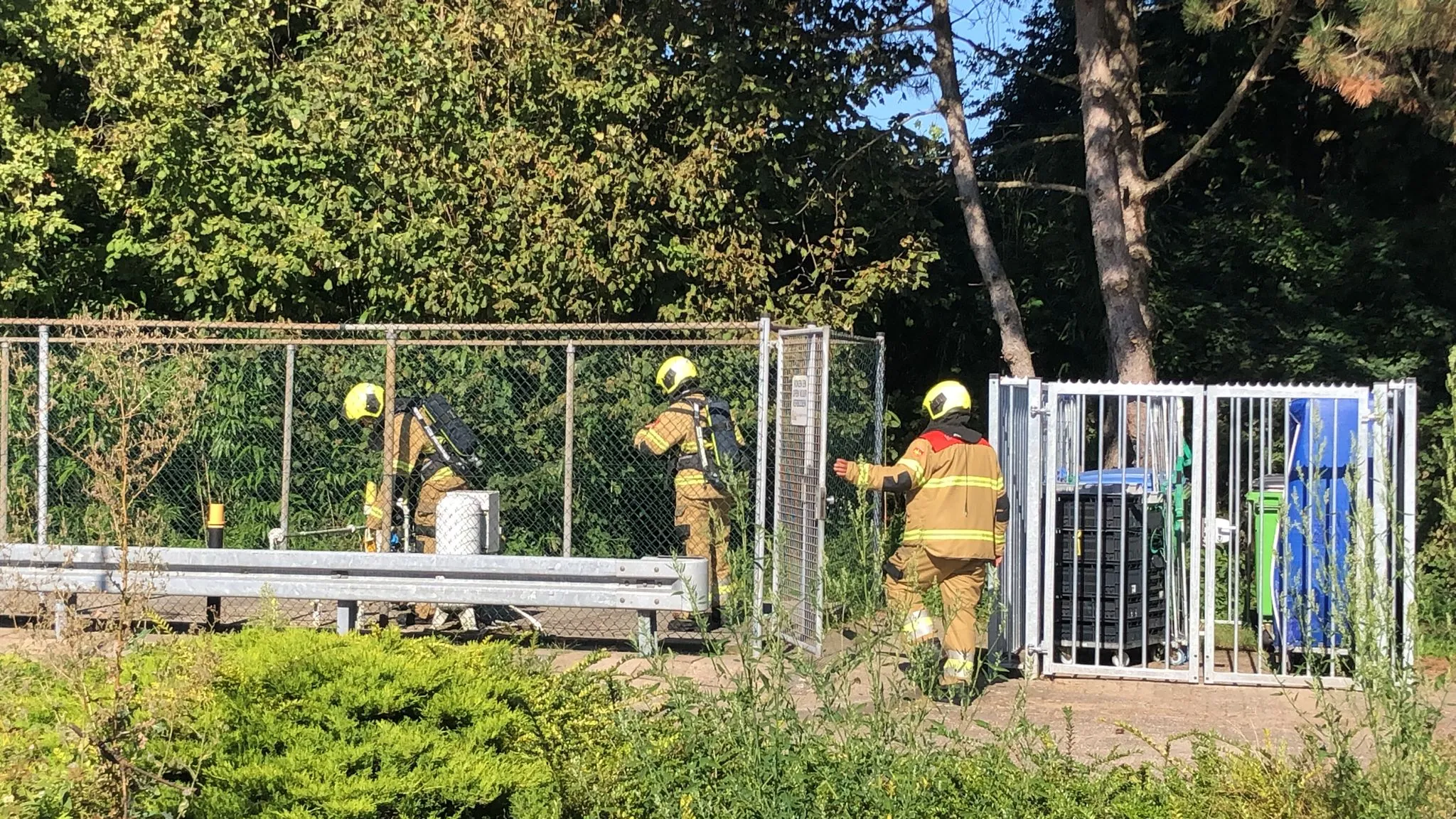 whatsapp image 2023 09 07 at 160744