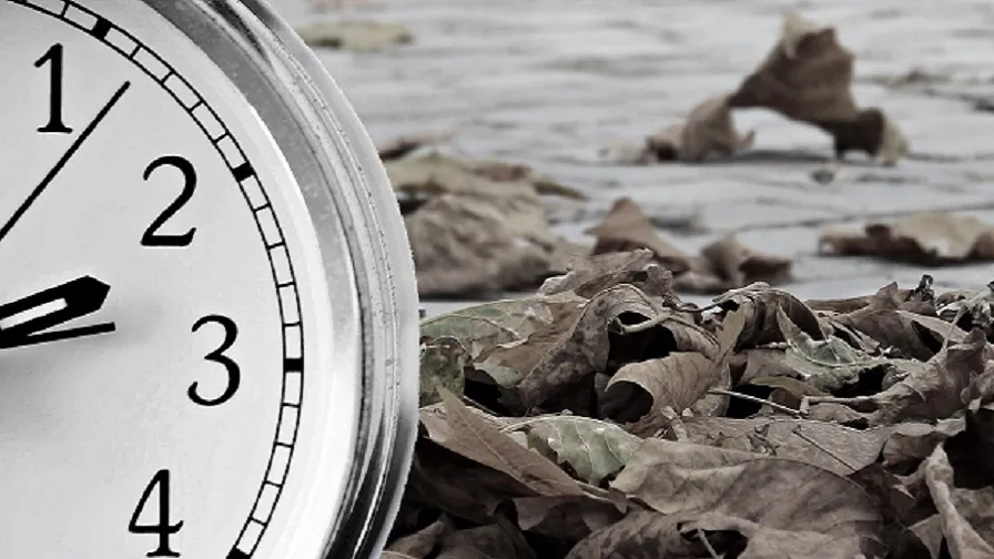 wintertime 2896597 1920