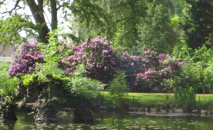 zusters franciscanessen