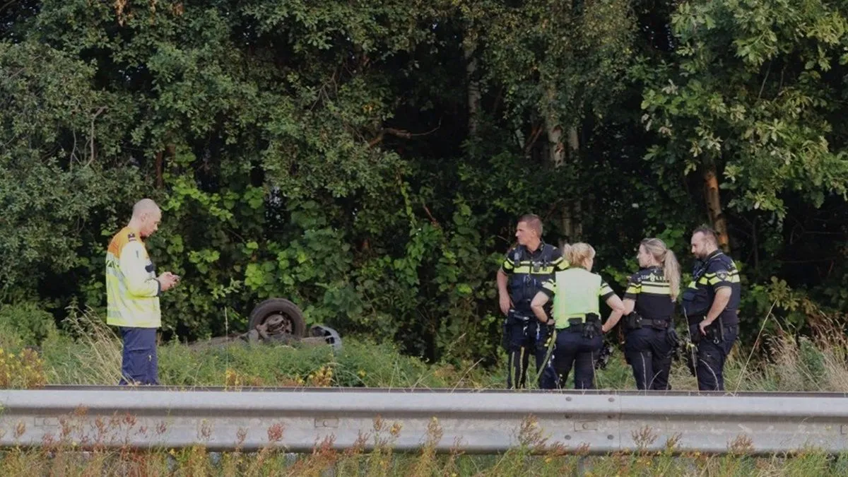 photo 2024 08 01 20 58 36