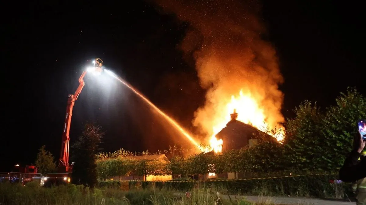 photo 2024 08 10 03 14 27