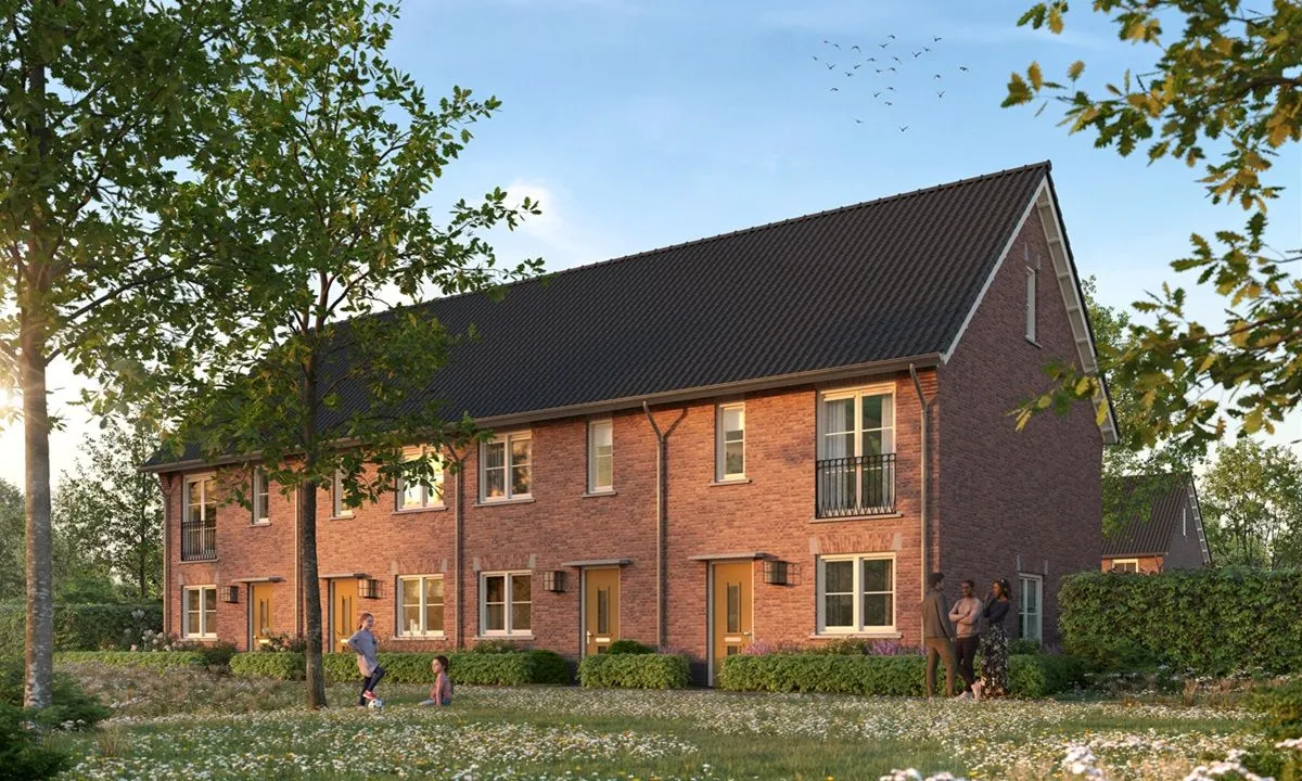 rijwoning type korenbloem hr
