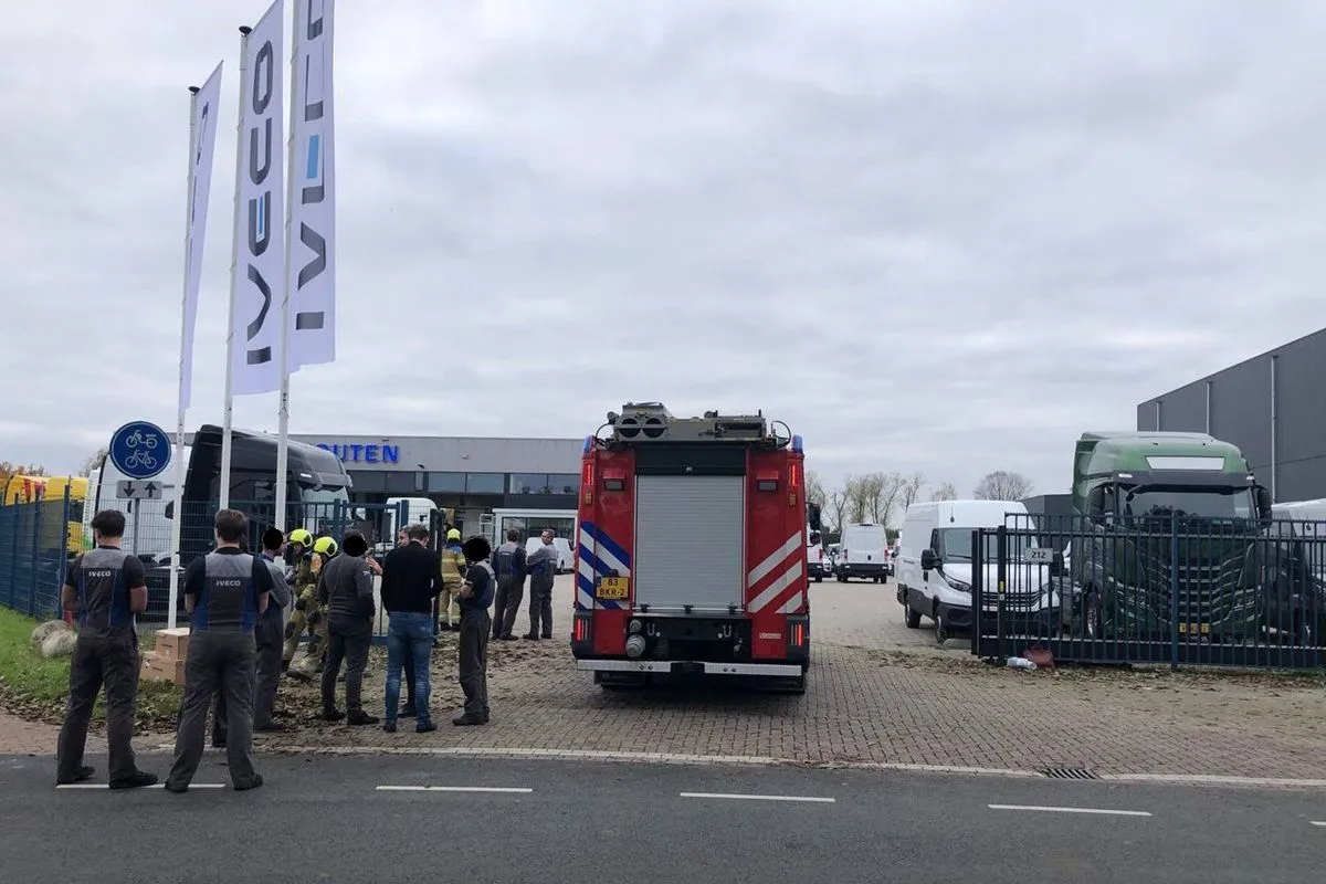 photo 2024 11 15 15 23 38