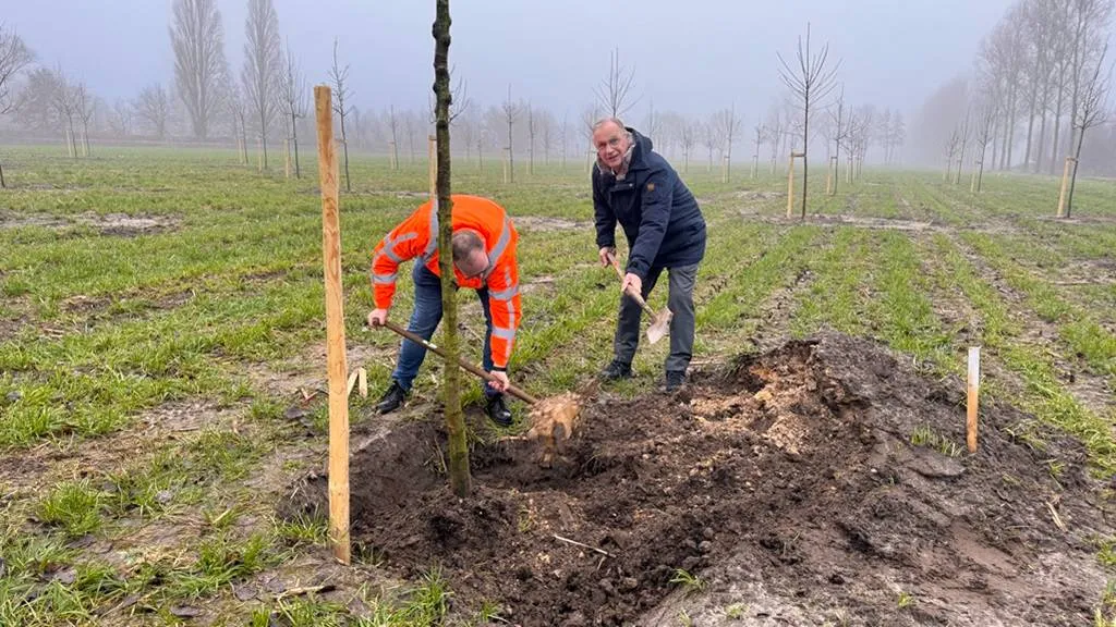 planten laatste boom boomgaard veghels buiten noordoost 1