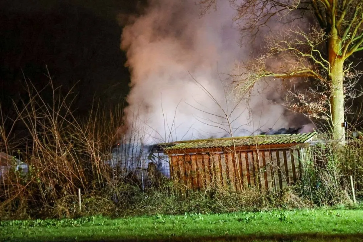 photo 2025 03 29 01 34 15