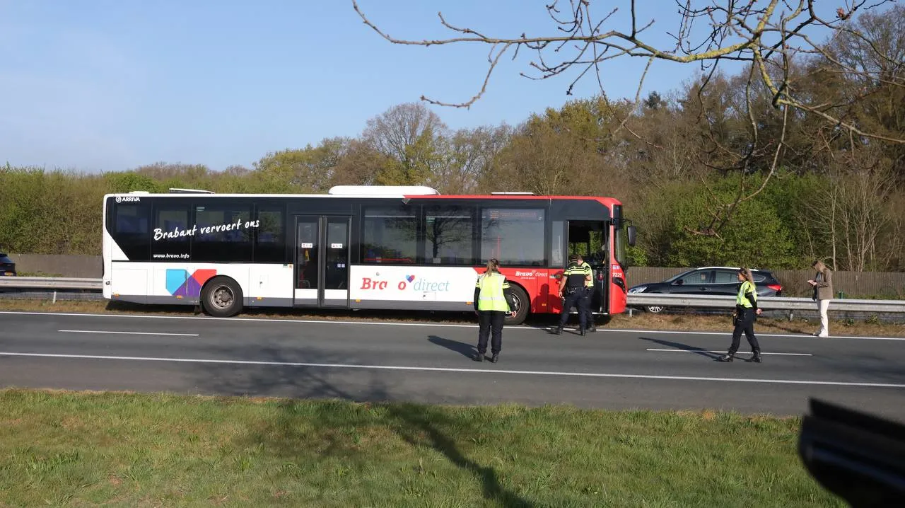 photo 2025 04 11 10 09 45