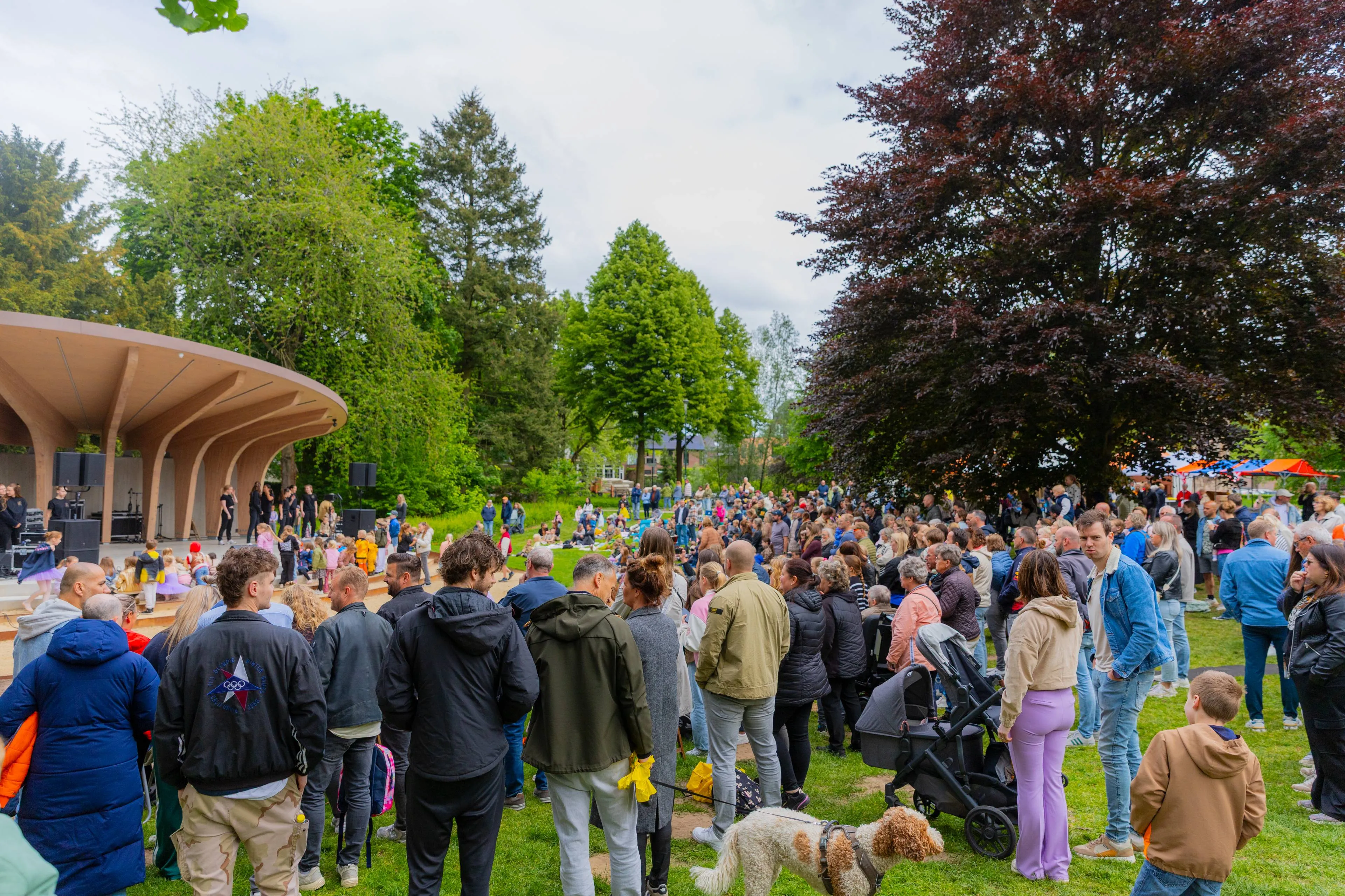 2025 05 05 bevrijdingsfestival 6