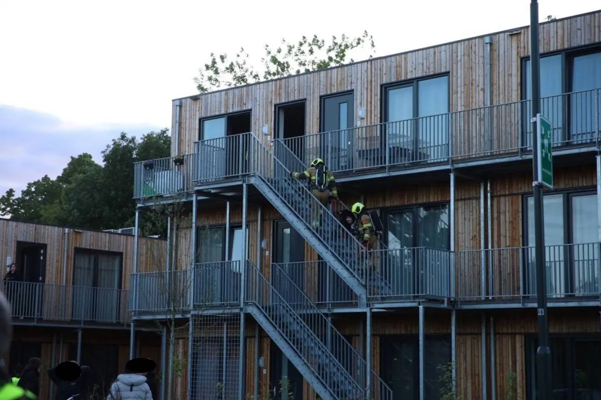 photo 2 2025 05 05 21 18 39