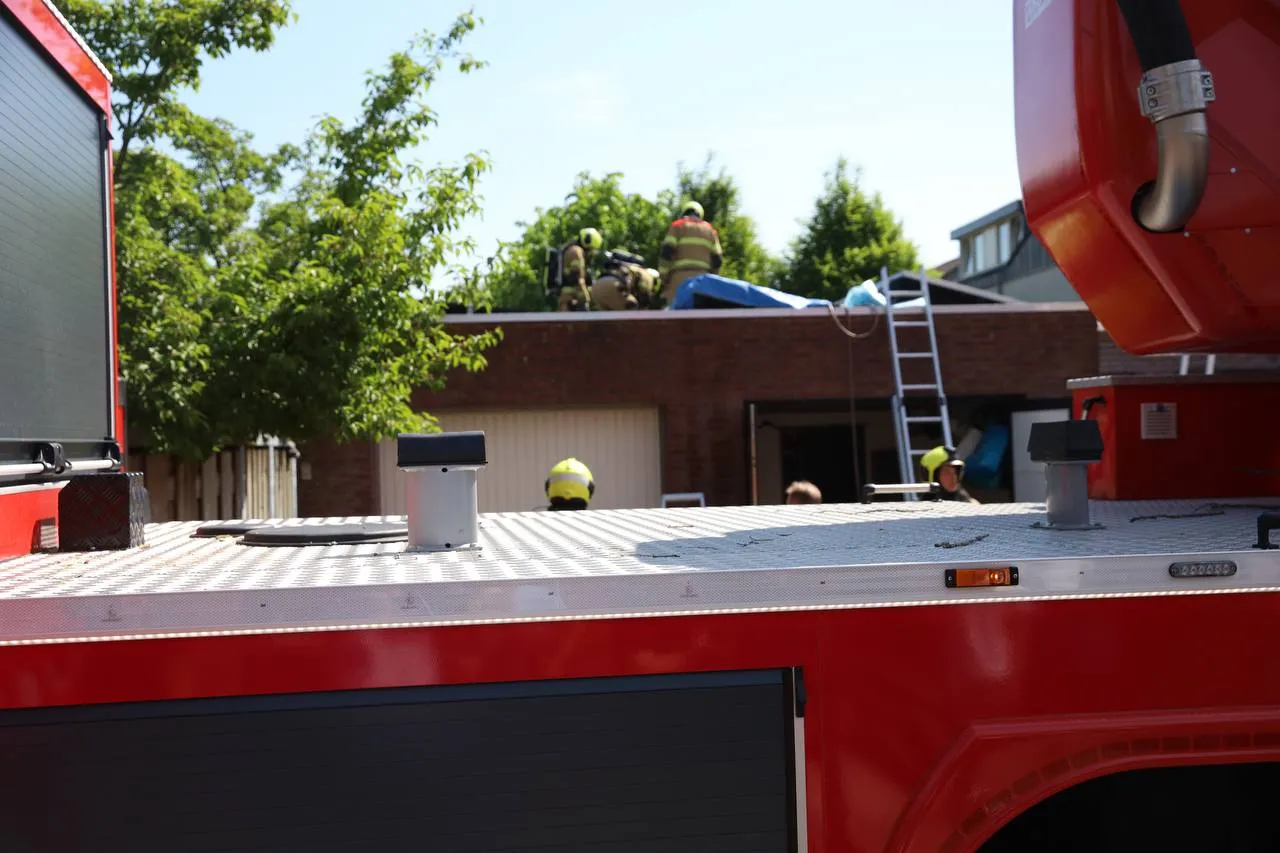 photo 2025 05 03 12 23 40