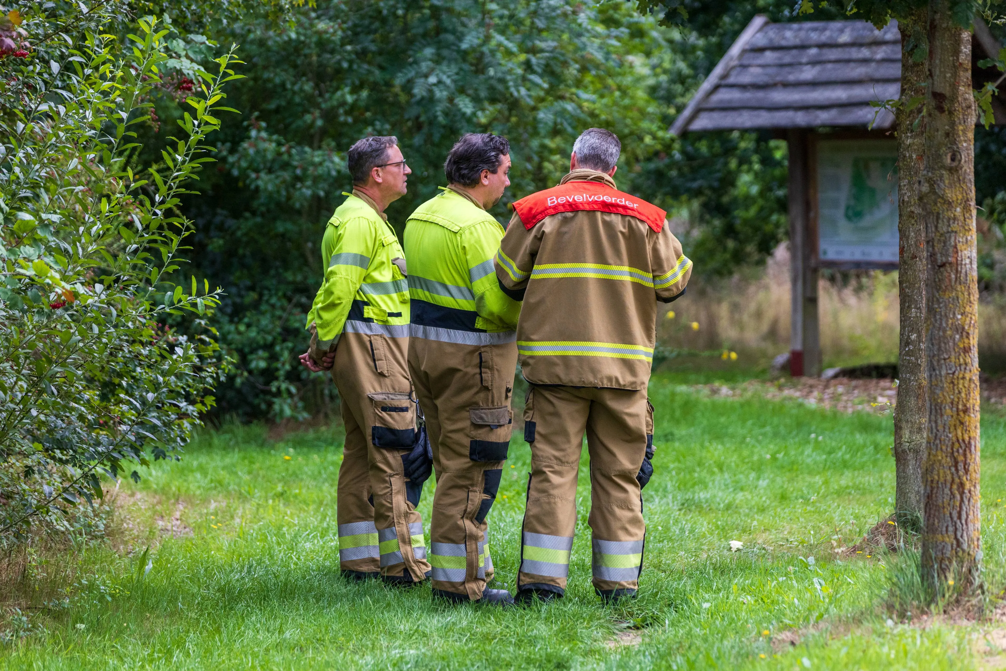 05-08-2025 Dier op hoogte Eerde 03