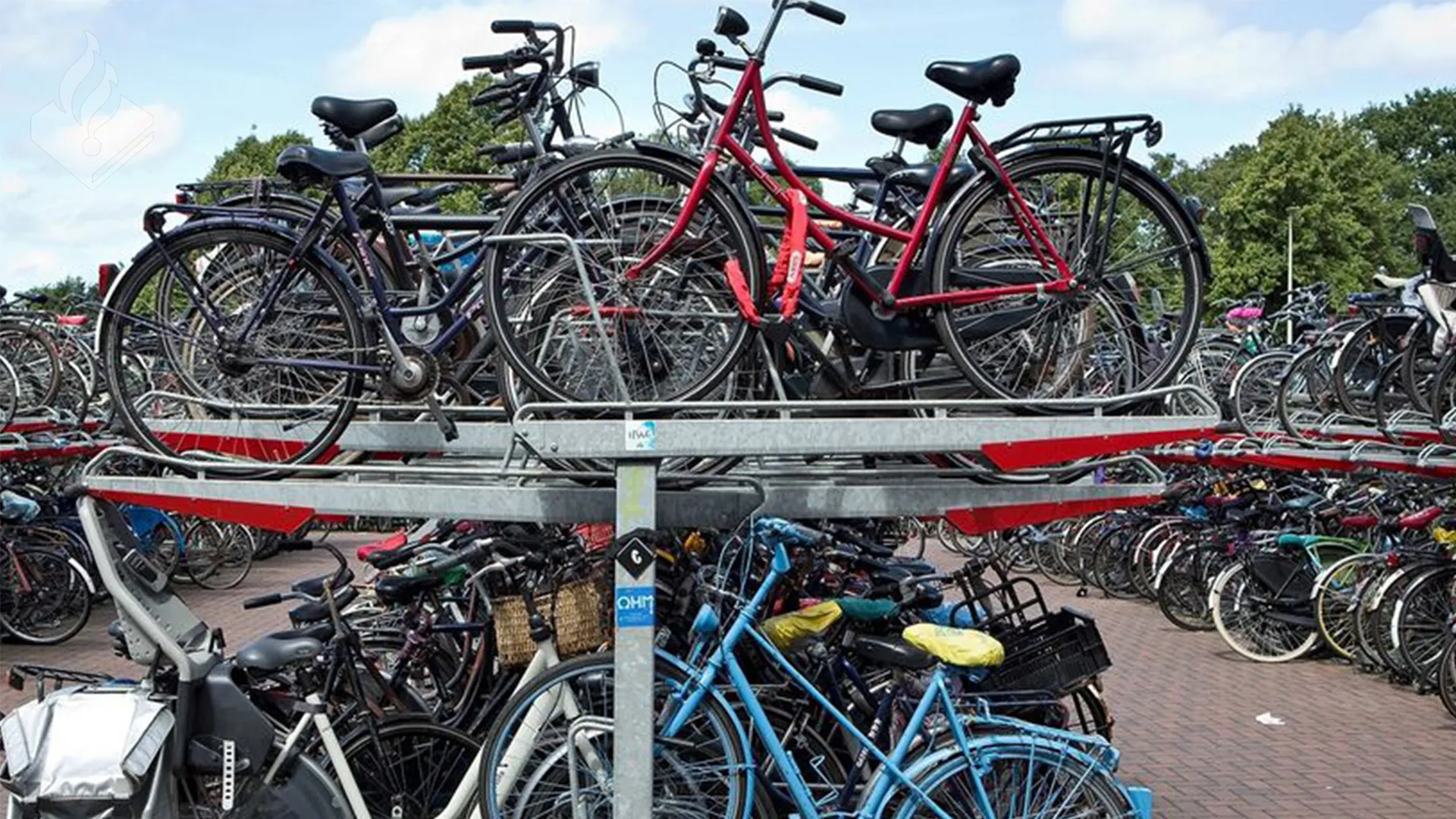 311772925 489044216587124 451330860111867906 n