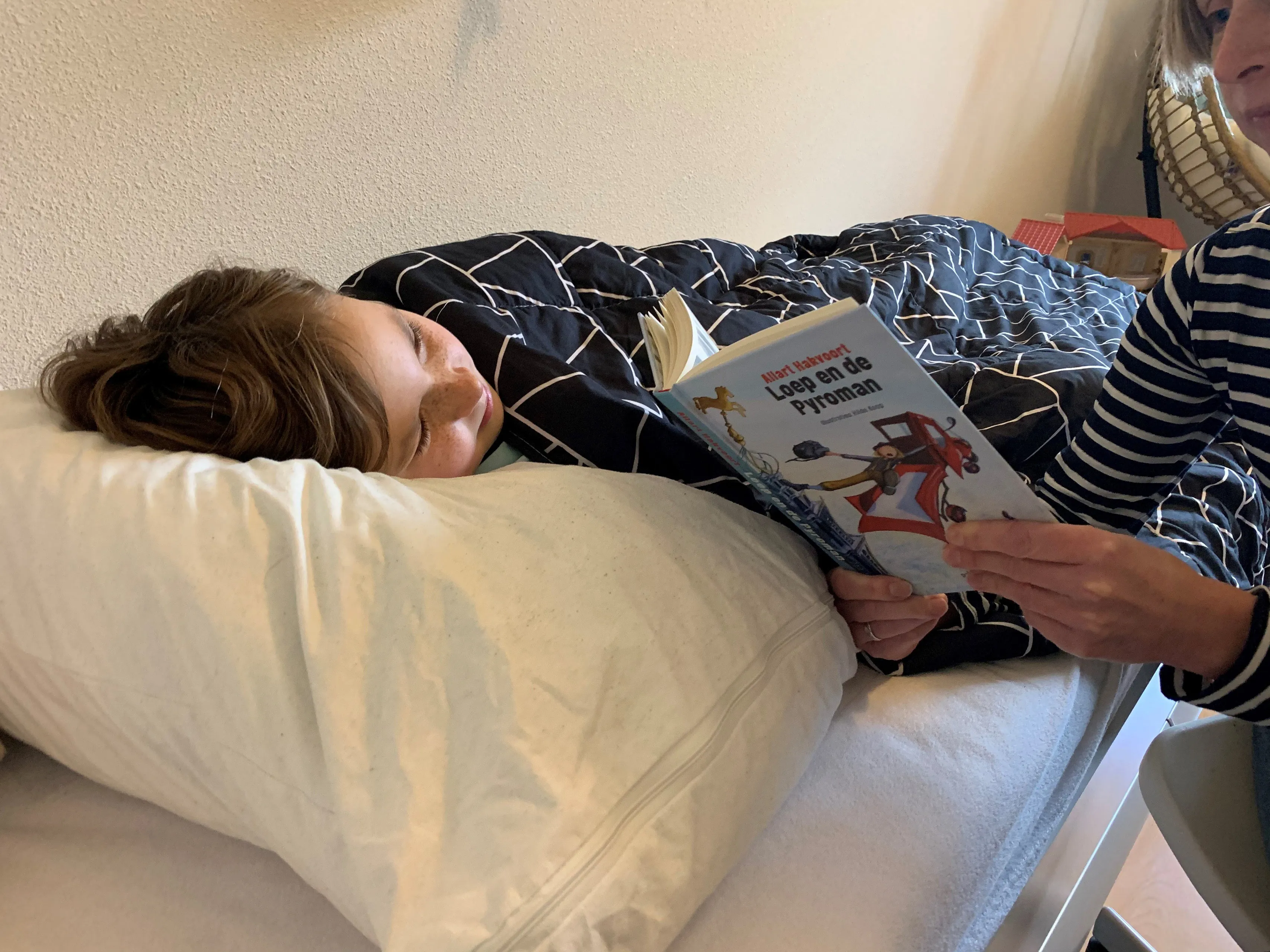 drenthe voorlezen met loep vrij van rechten