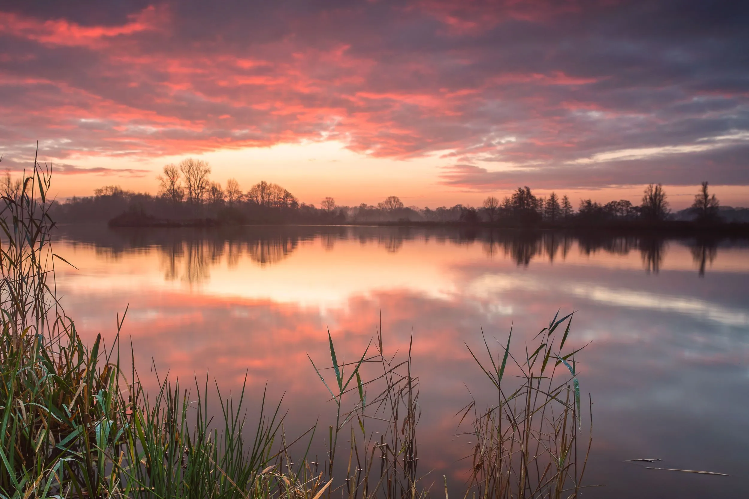 opstap 0808 avondlicht de wieden