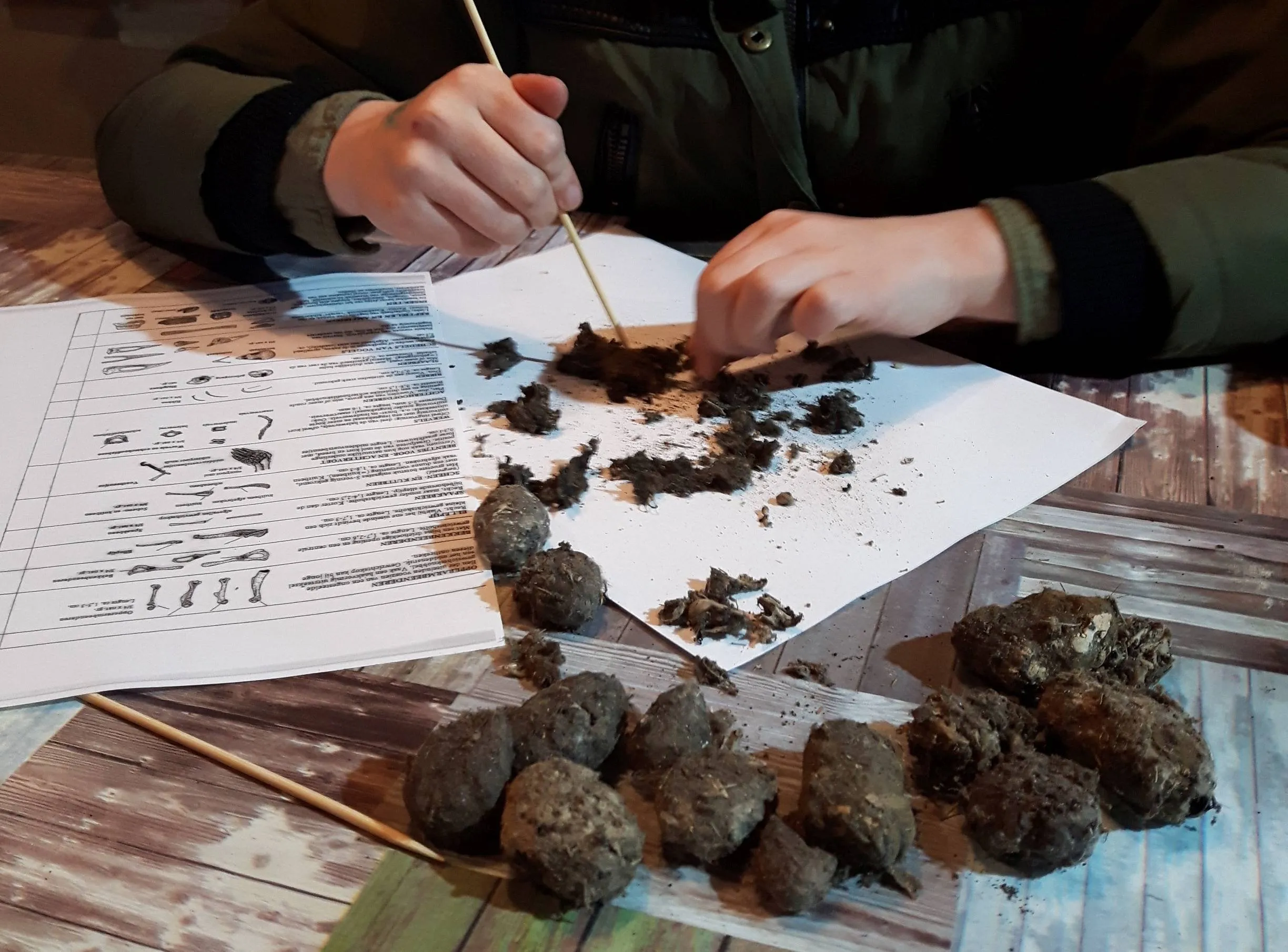 oudavereest wheem uileballen