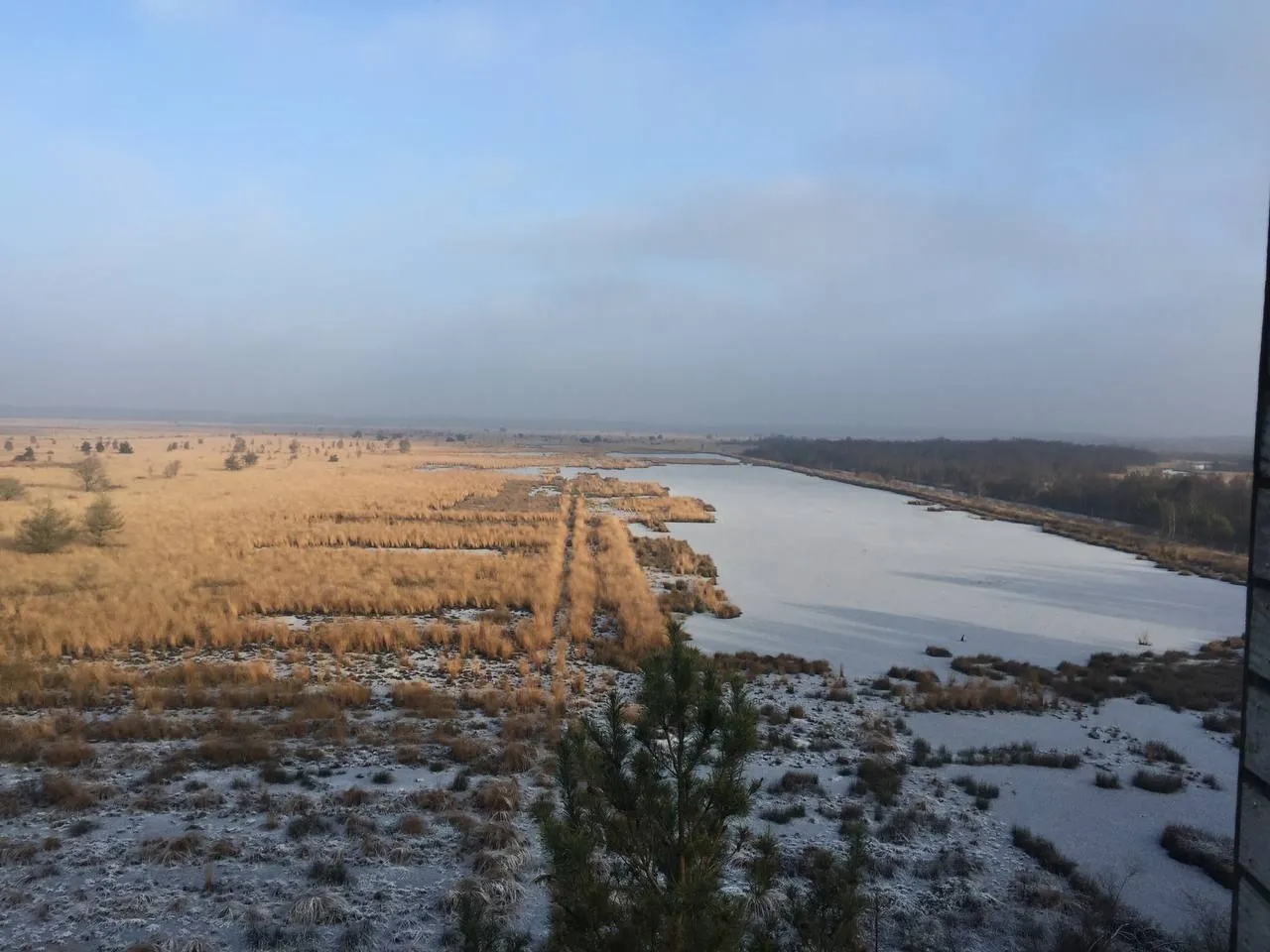 photo 5938202387833534924 y