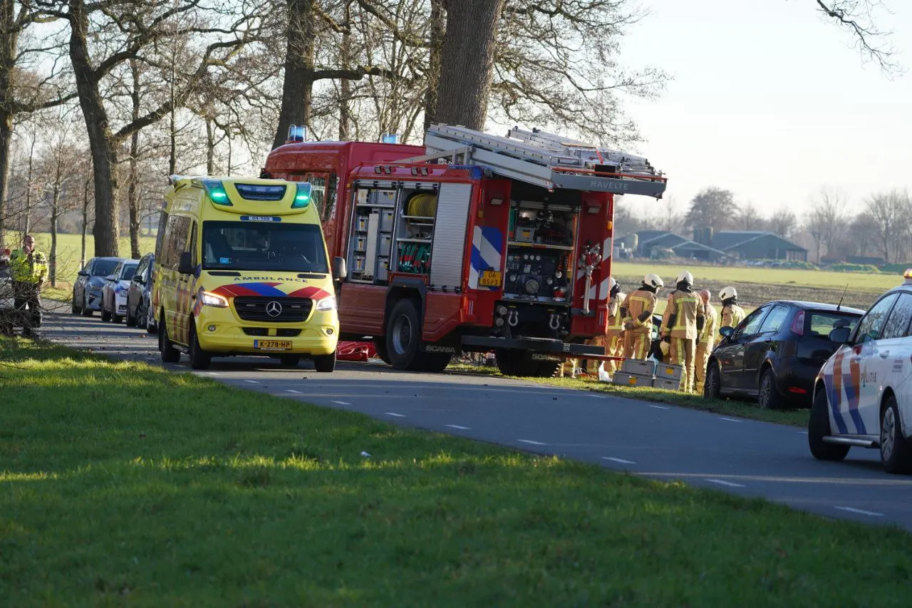 photo 5992507589251938955 y