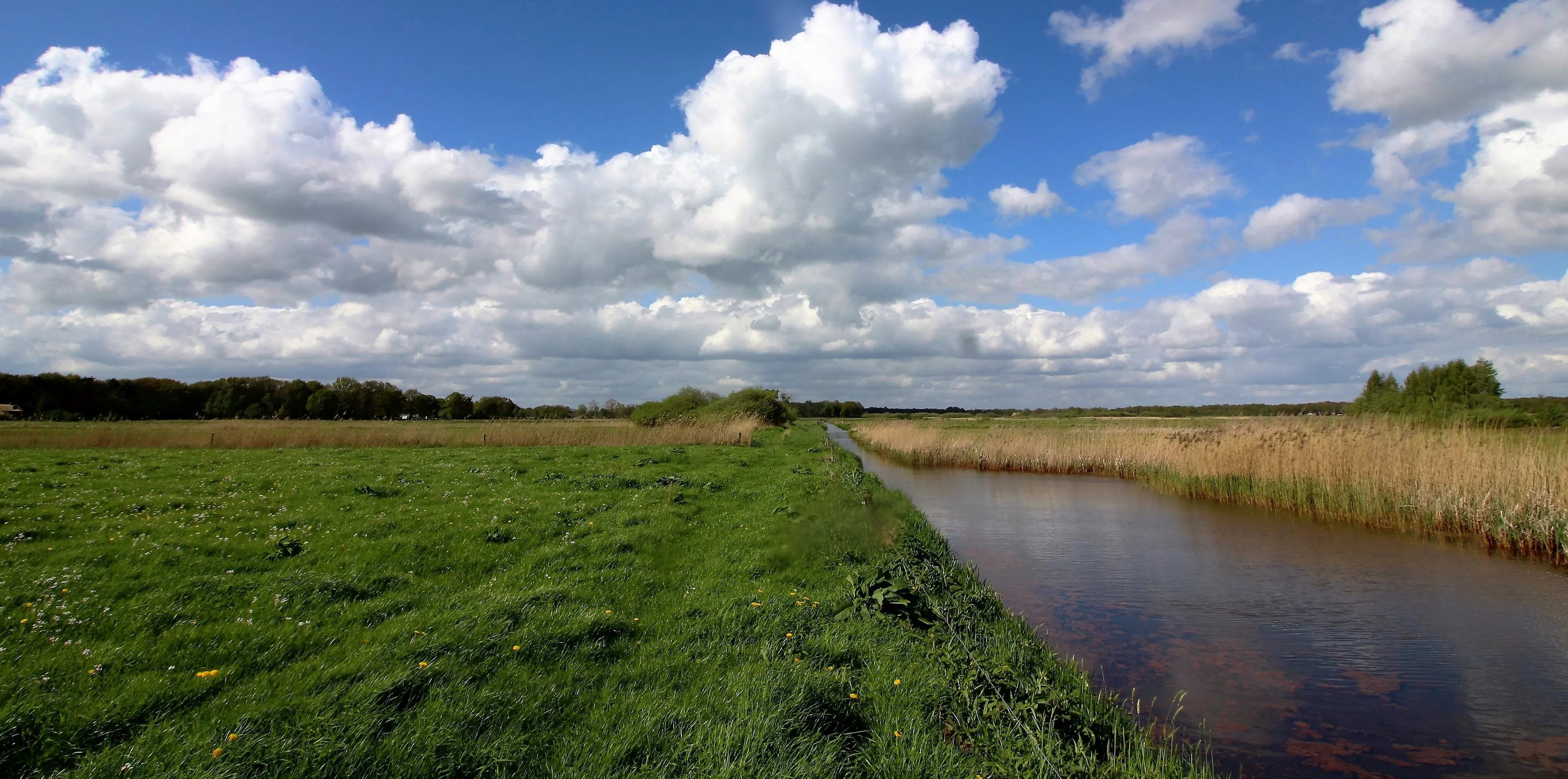 vledders leijerhoioilanden