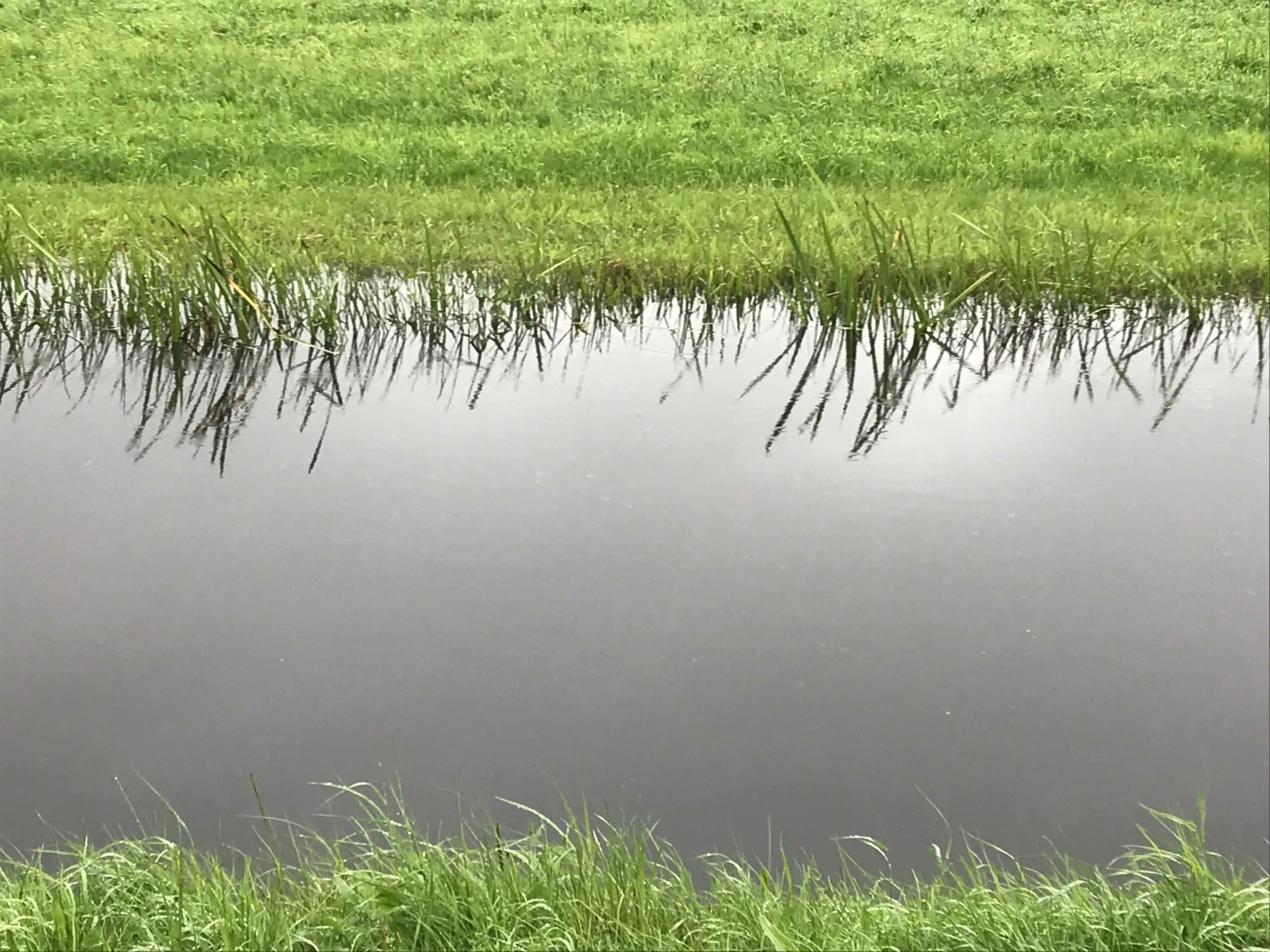 wdod vol watersysteem2 scaled