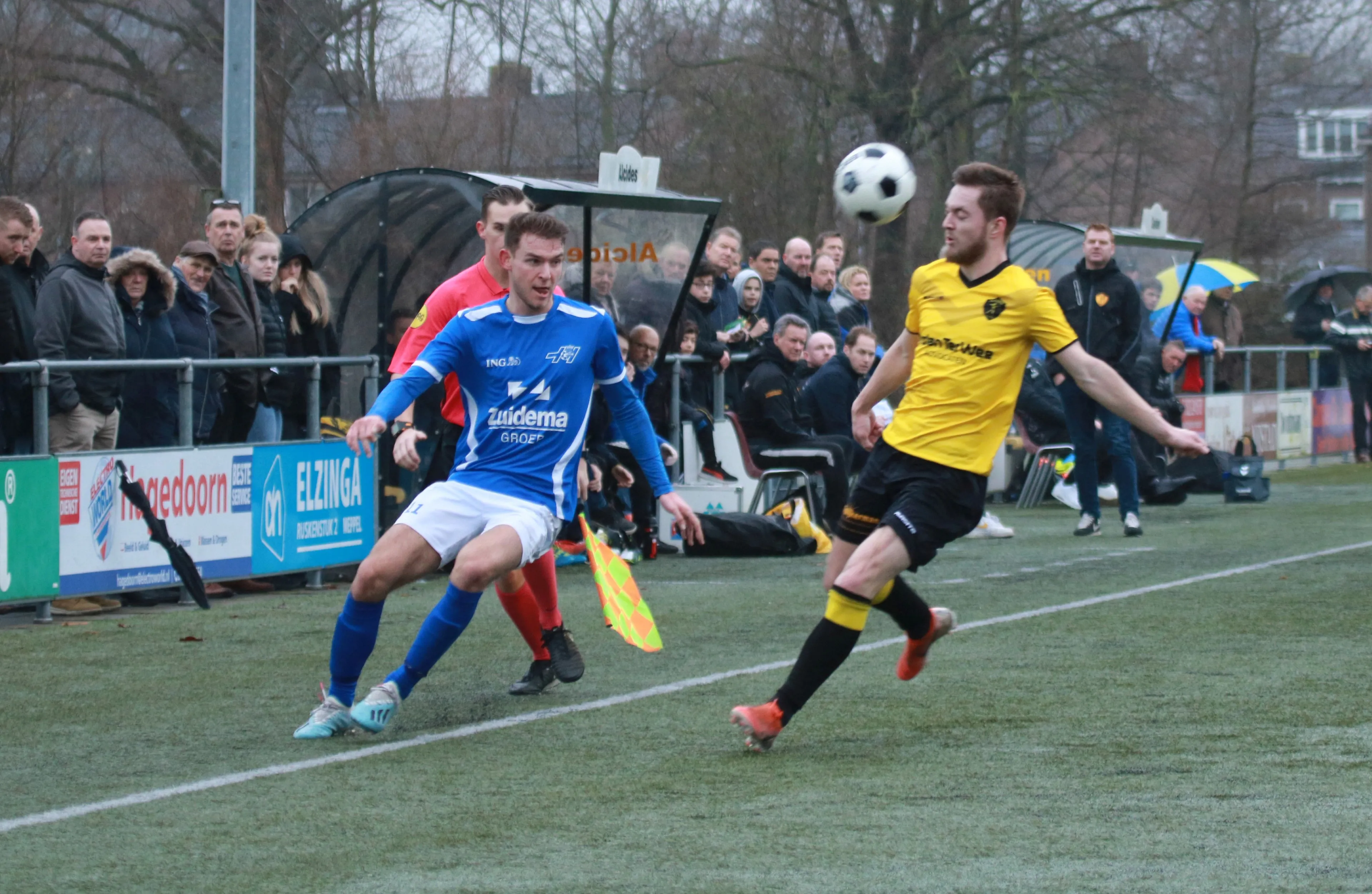 alcides hoogeveen custom