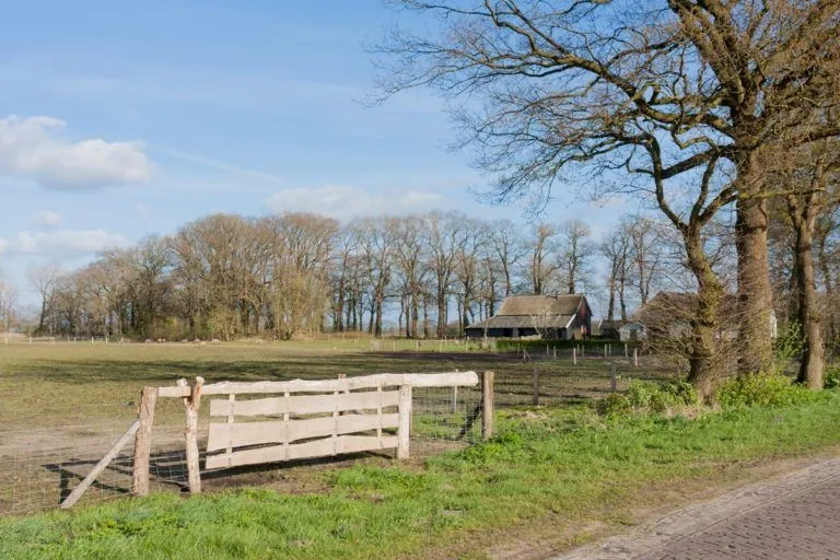 boerenerf 768x512