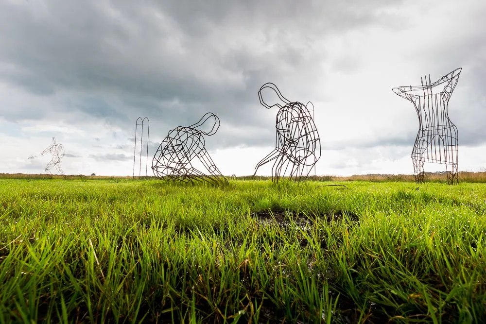 drenthe vrijwilloigersdag2