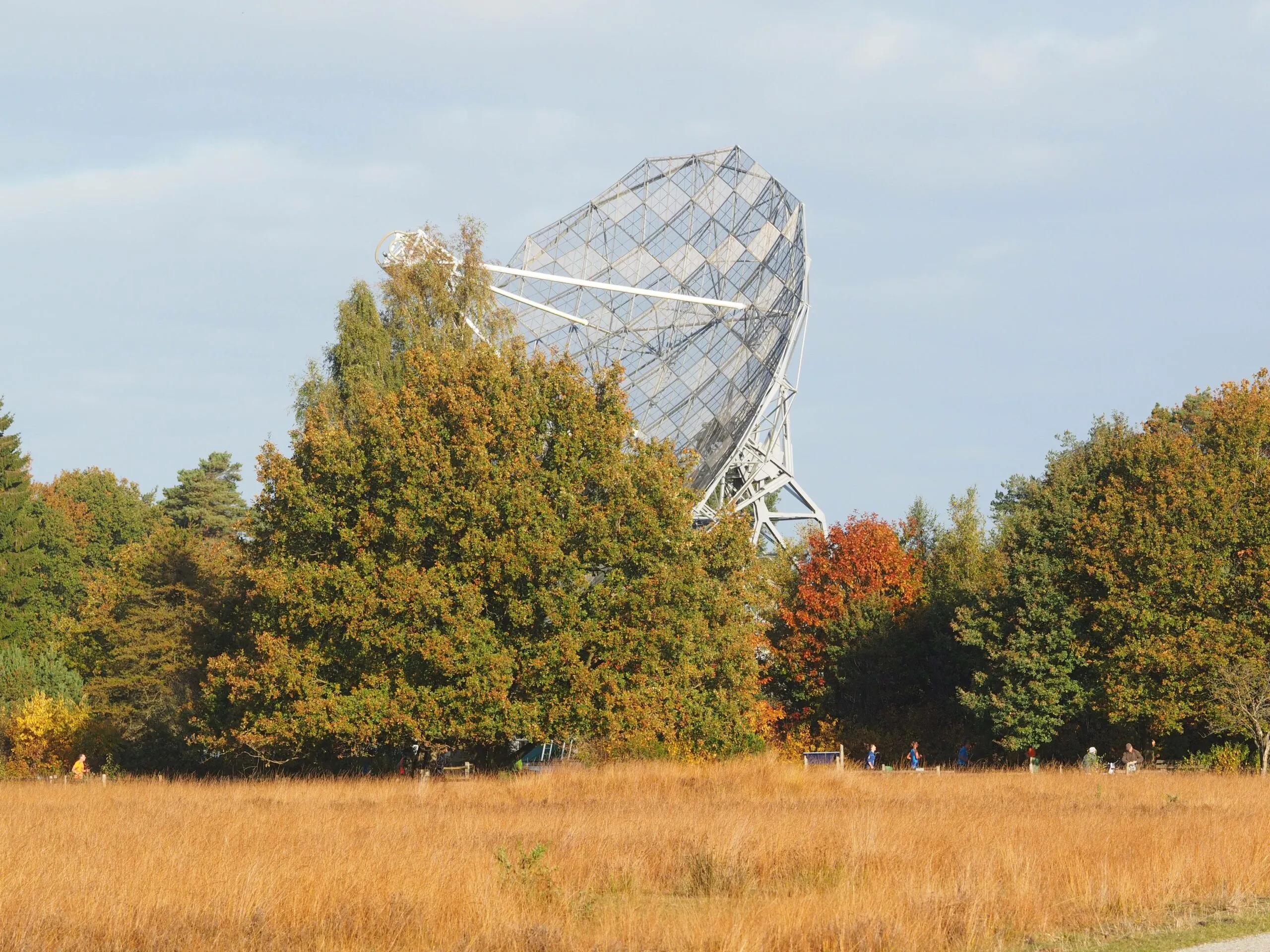 dwingelderveldloop scaled
