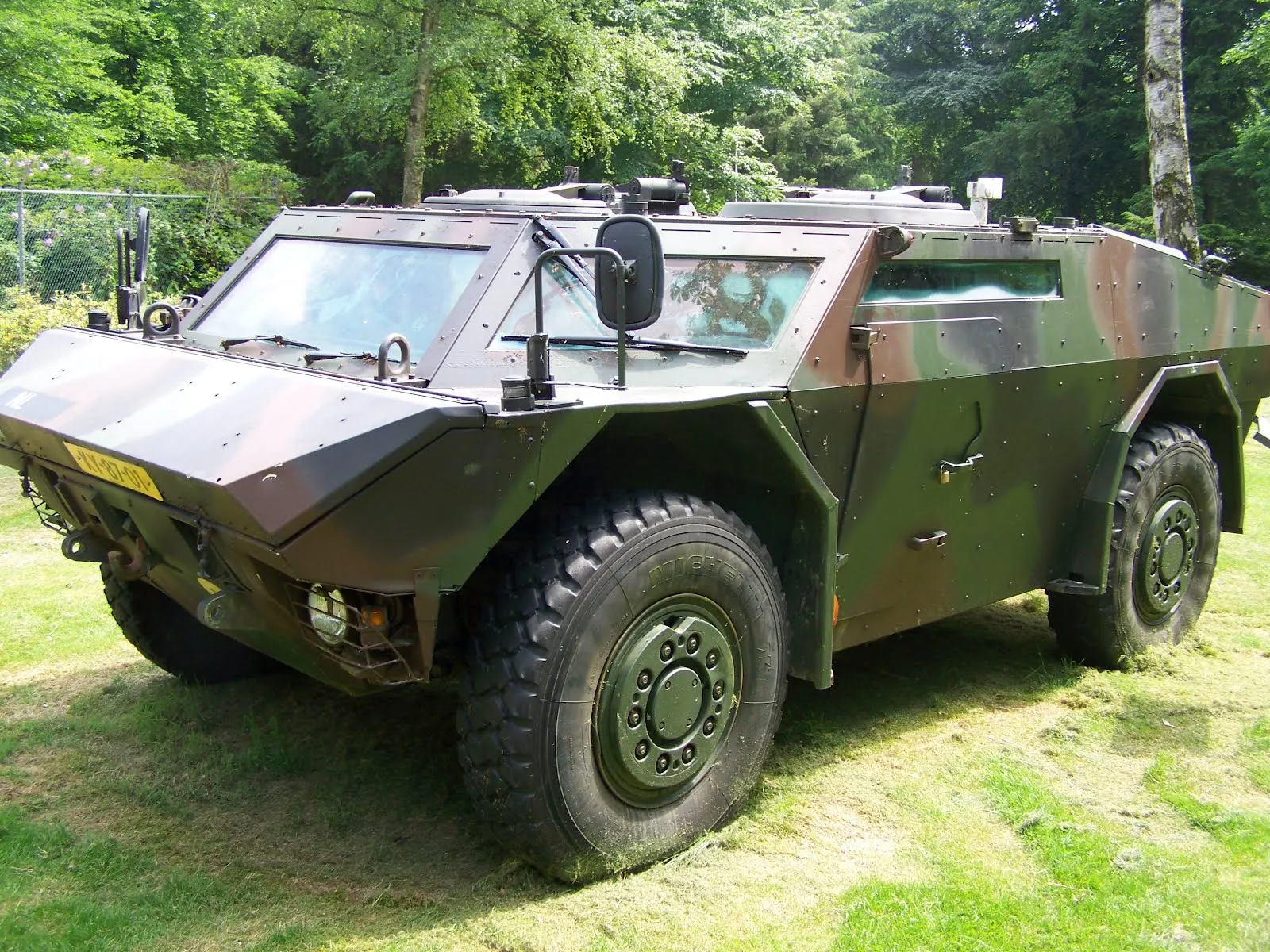 fennek