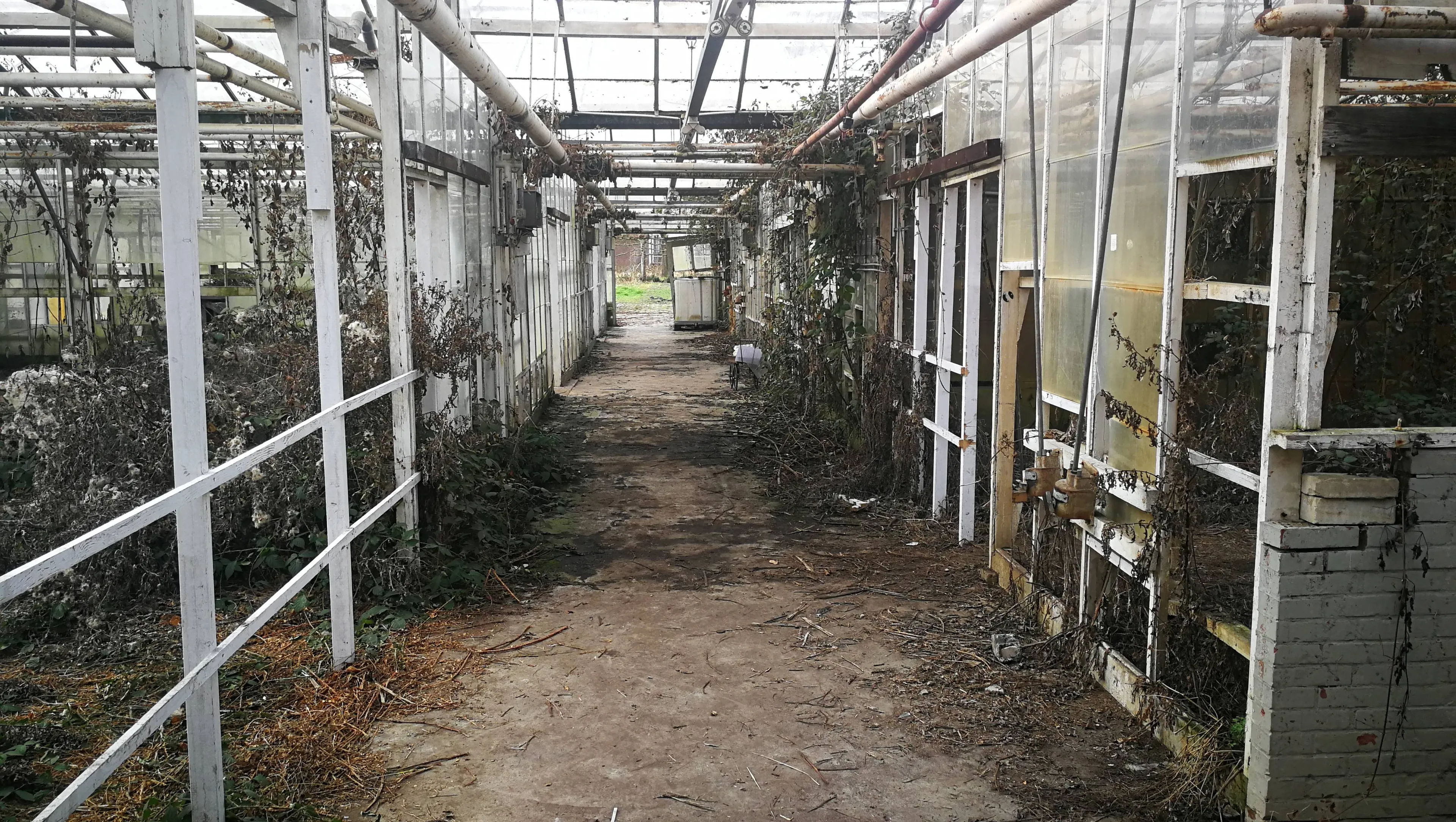frederiksoord tuinbouwschool1