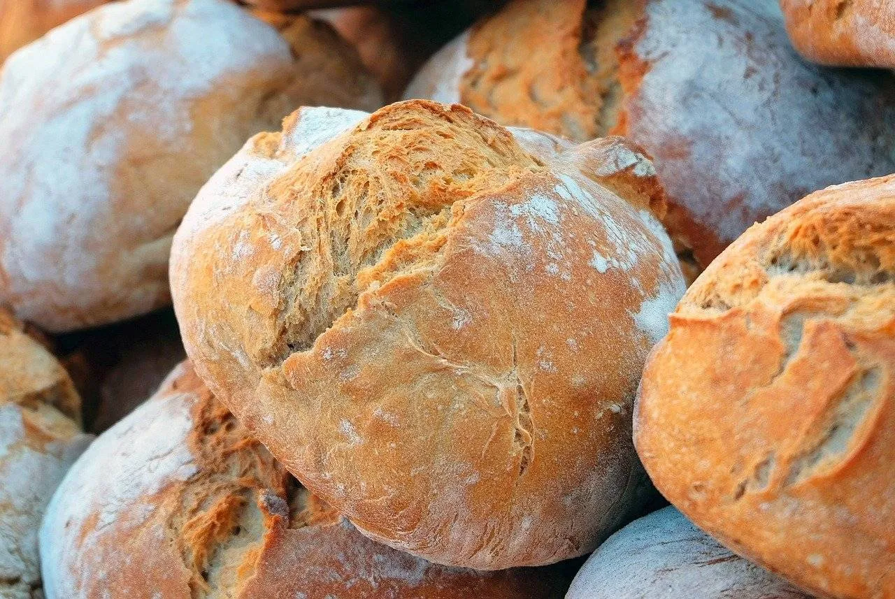 pixabay brood