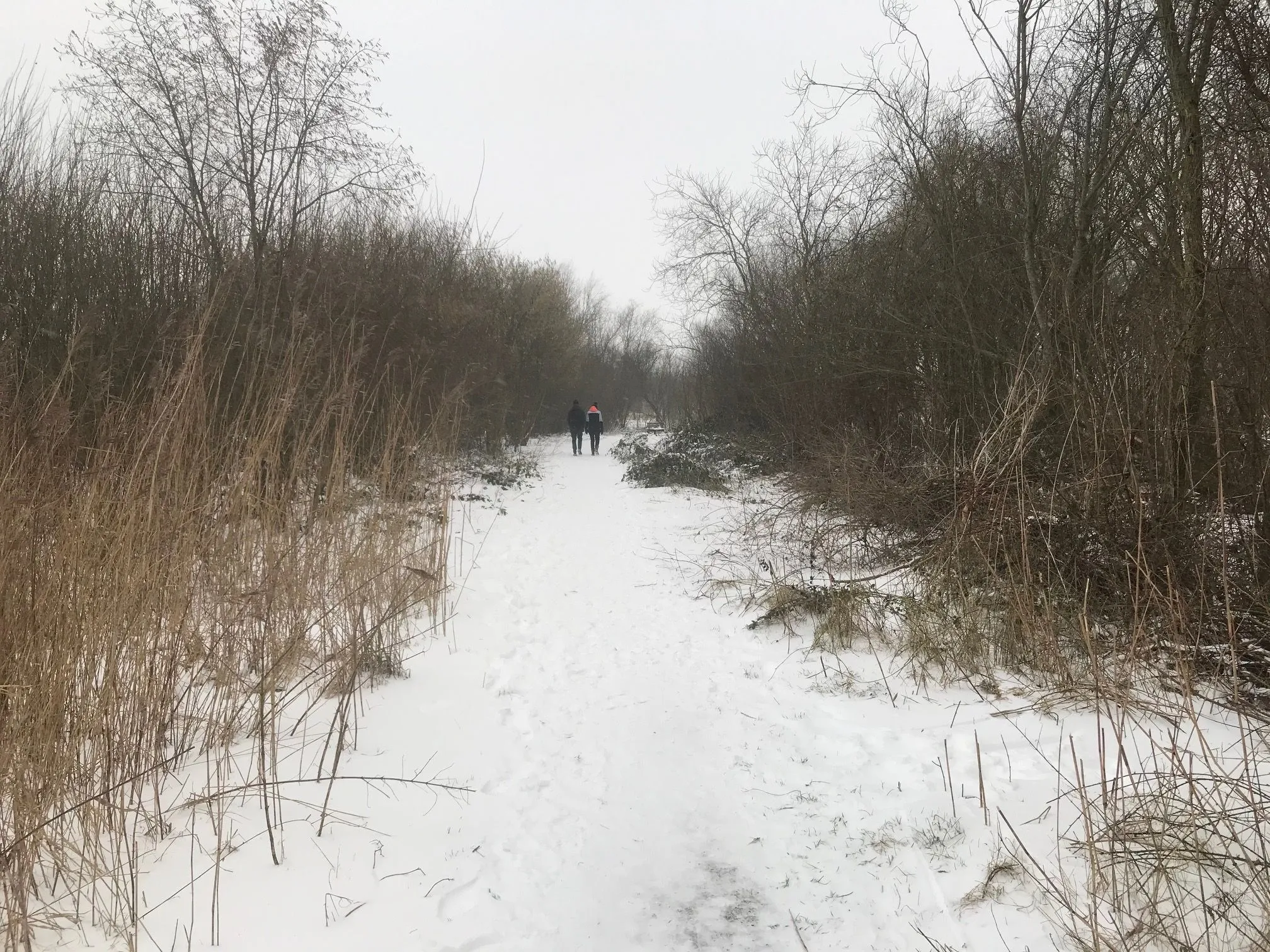 pn07022021 winter meppel1