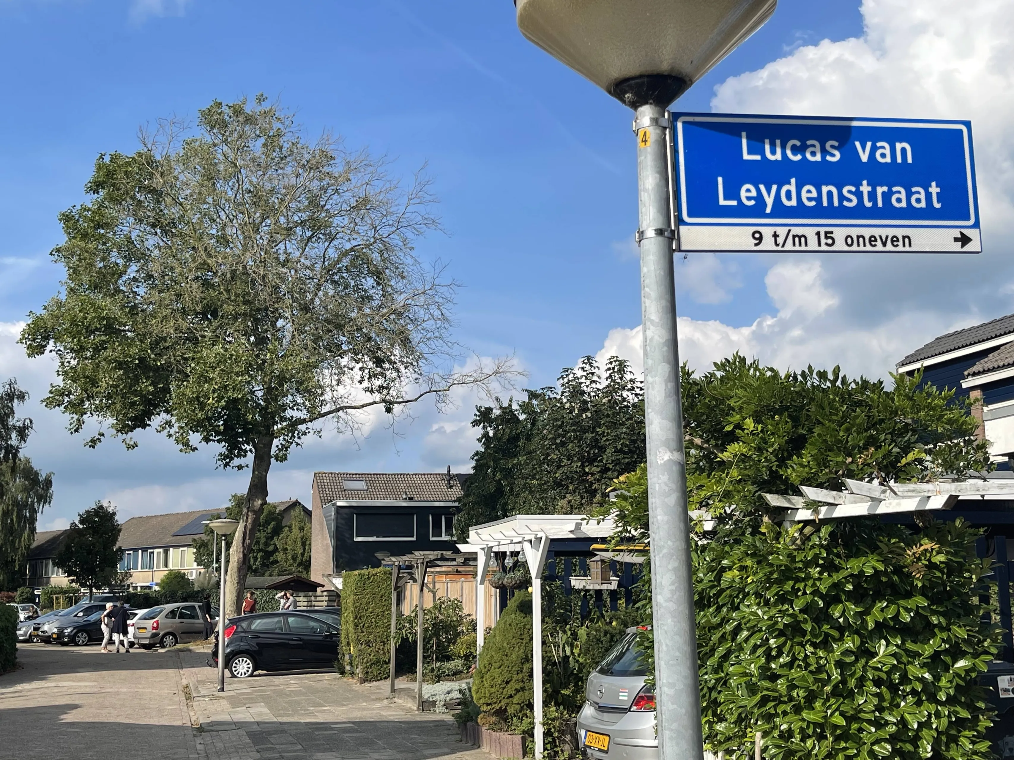 pn18092021 boom lucas van leydenstraat1