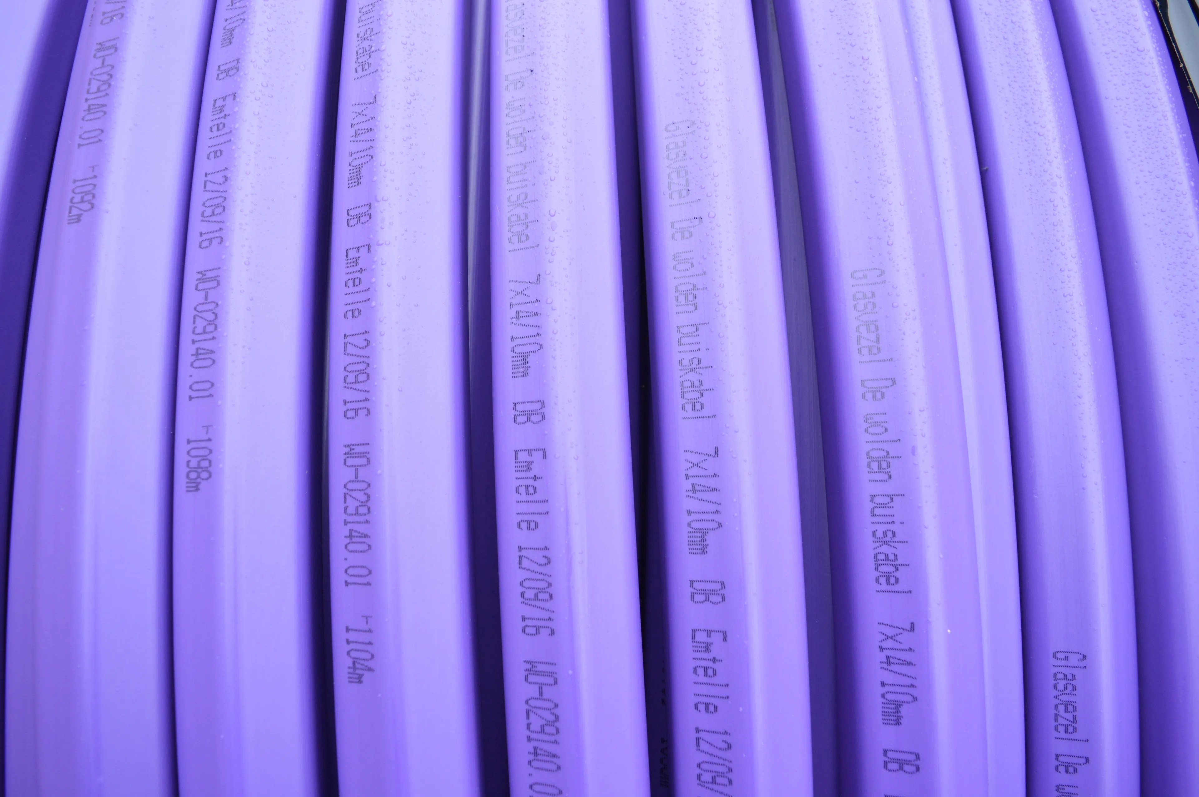 pn18102016 glasvezel dewolden2