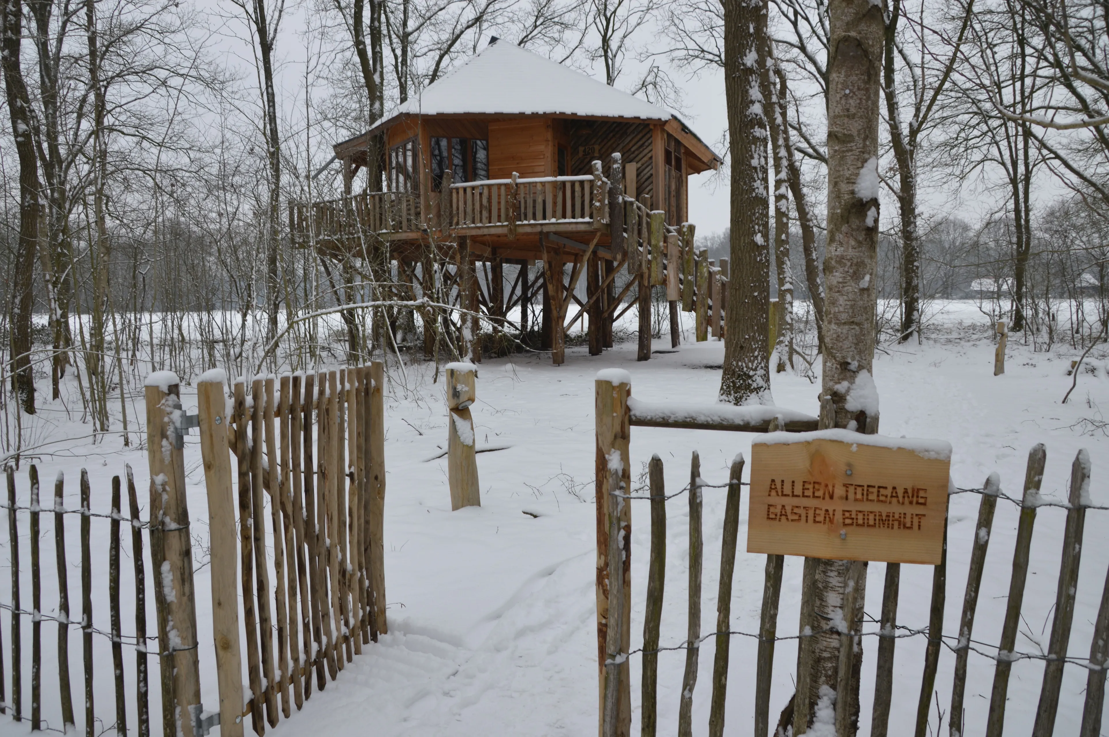 pn23012018 boomhut sneeuw echten1