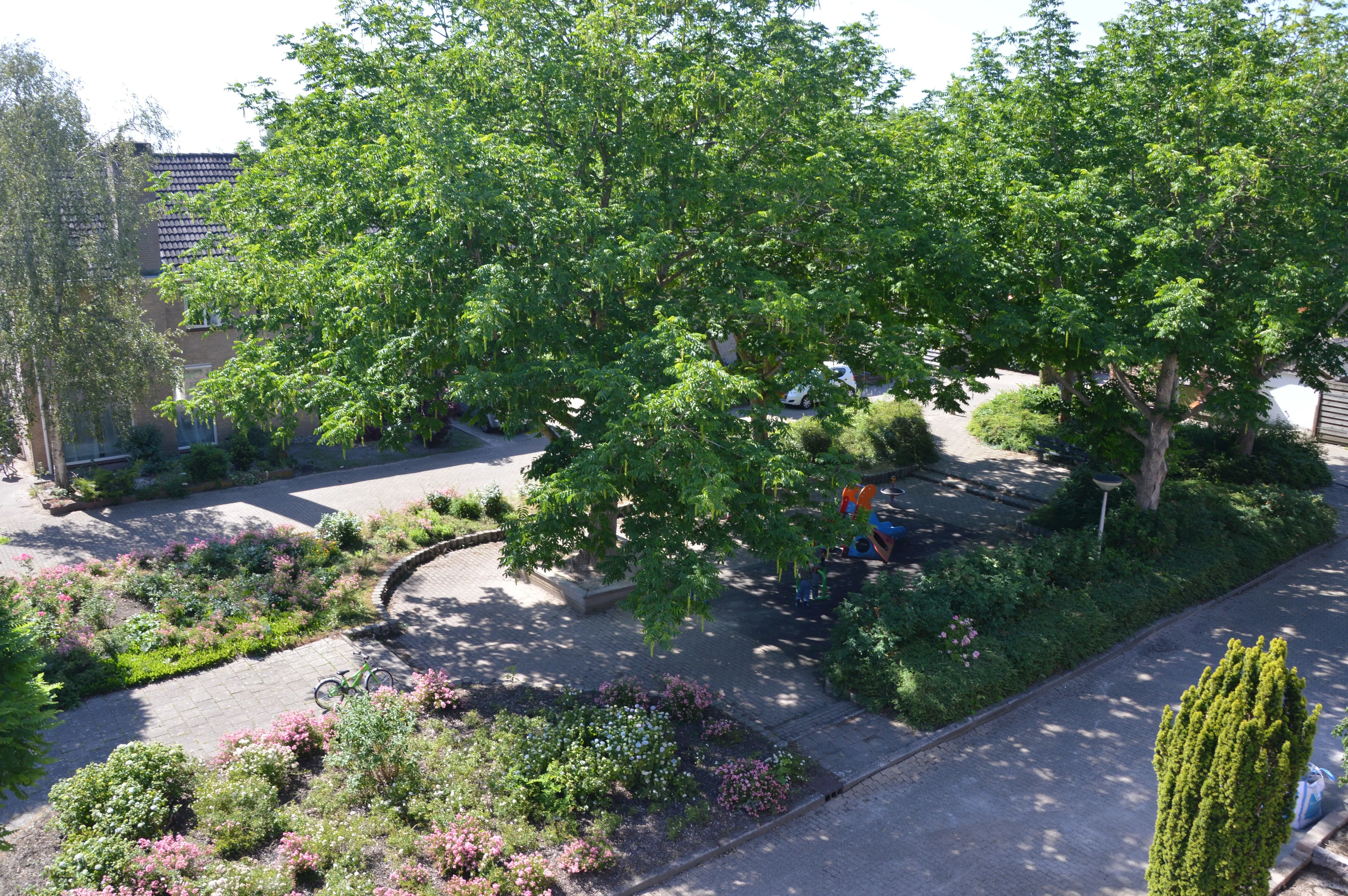 pn23062020 pleintje pieter lastmanstraat