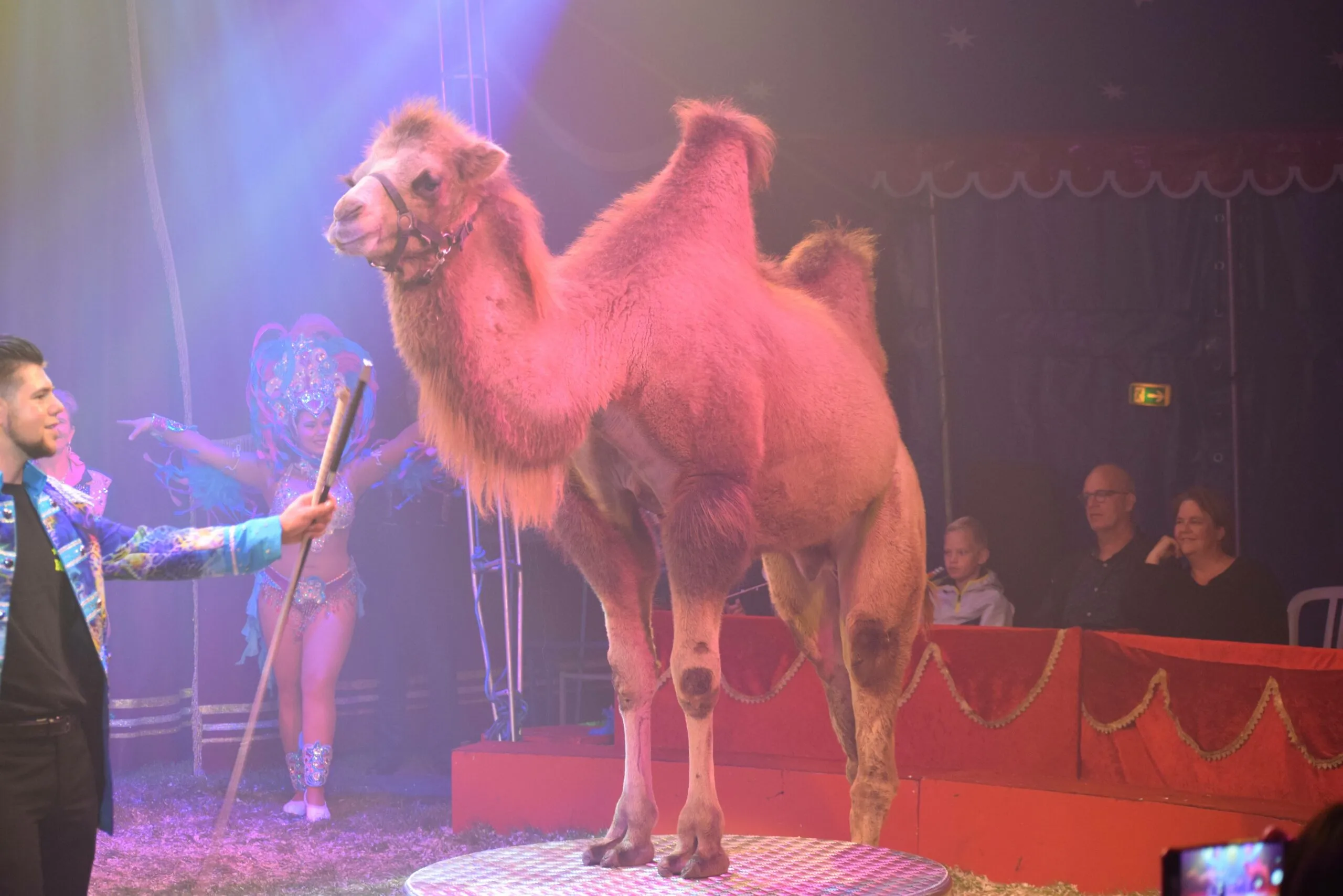 ruinen circus fotograaf steffen wolf sena entertainment group scaled