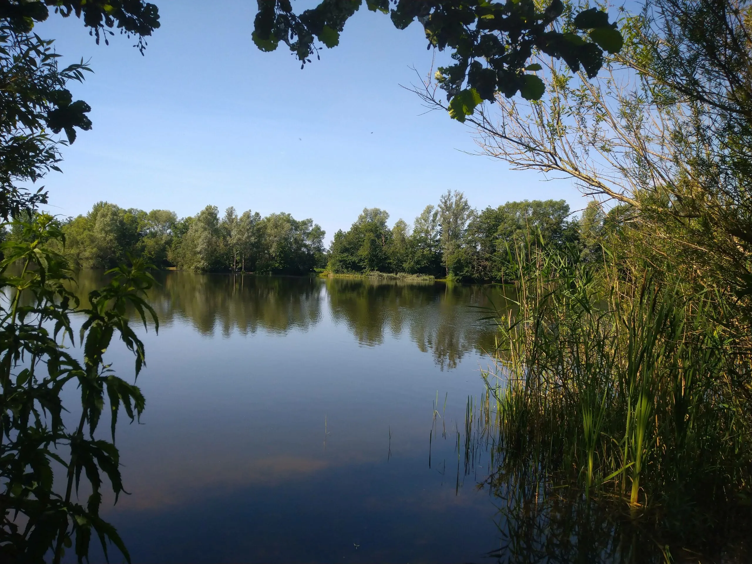 wdod bijkersplas scaled