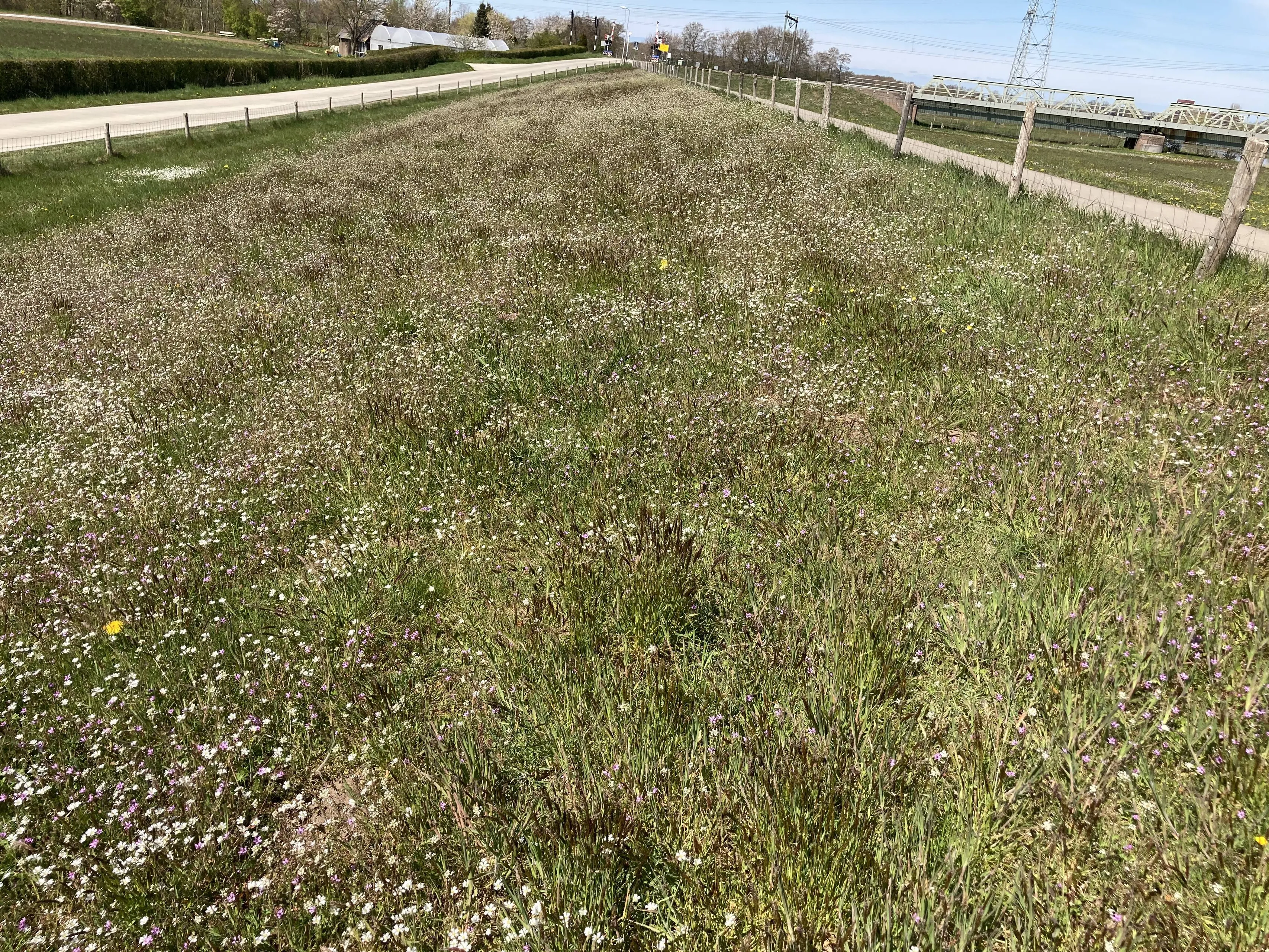 wdod voorjaarsinspectie