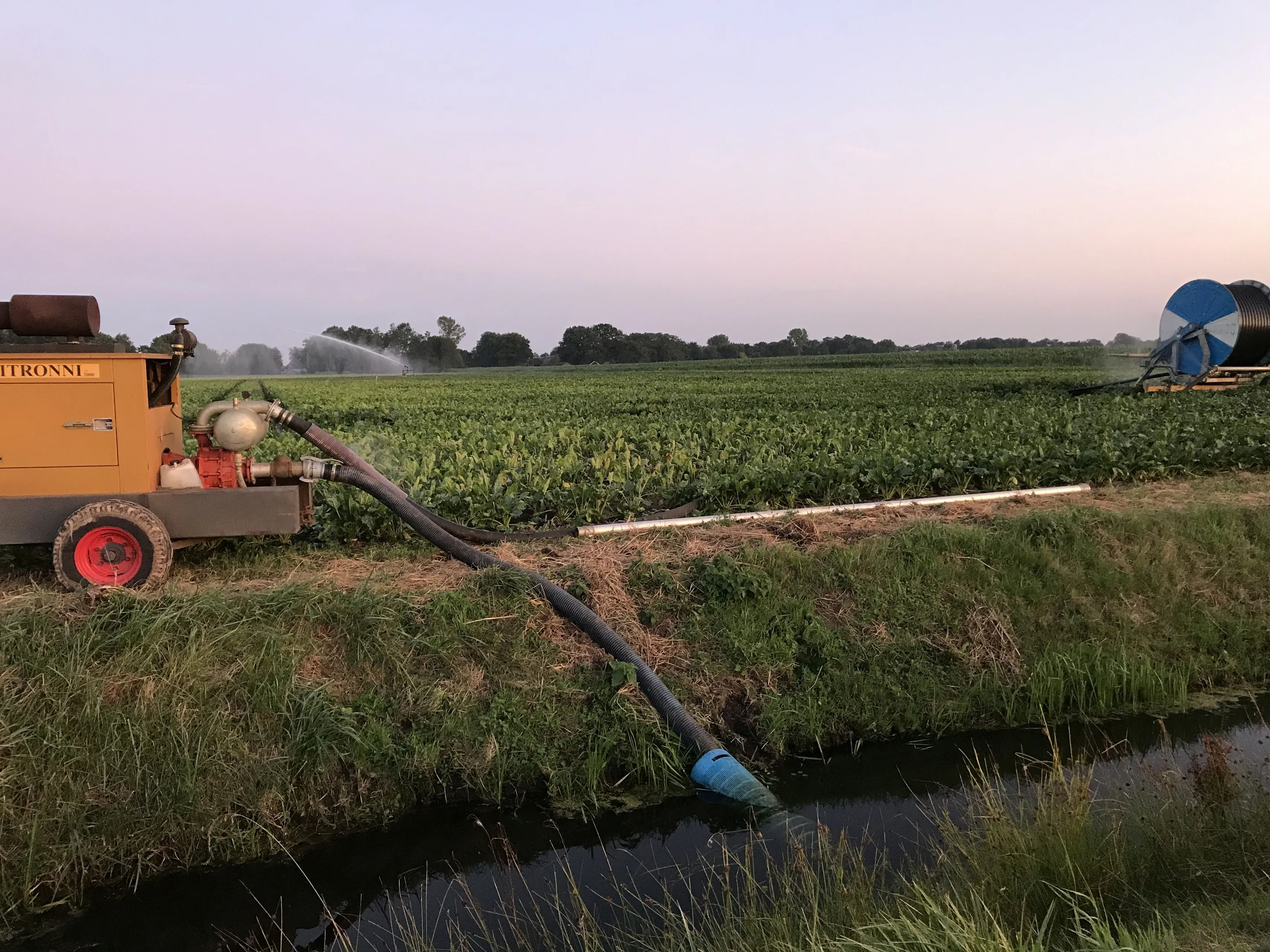 wdod water uit sloot archief
