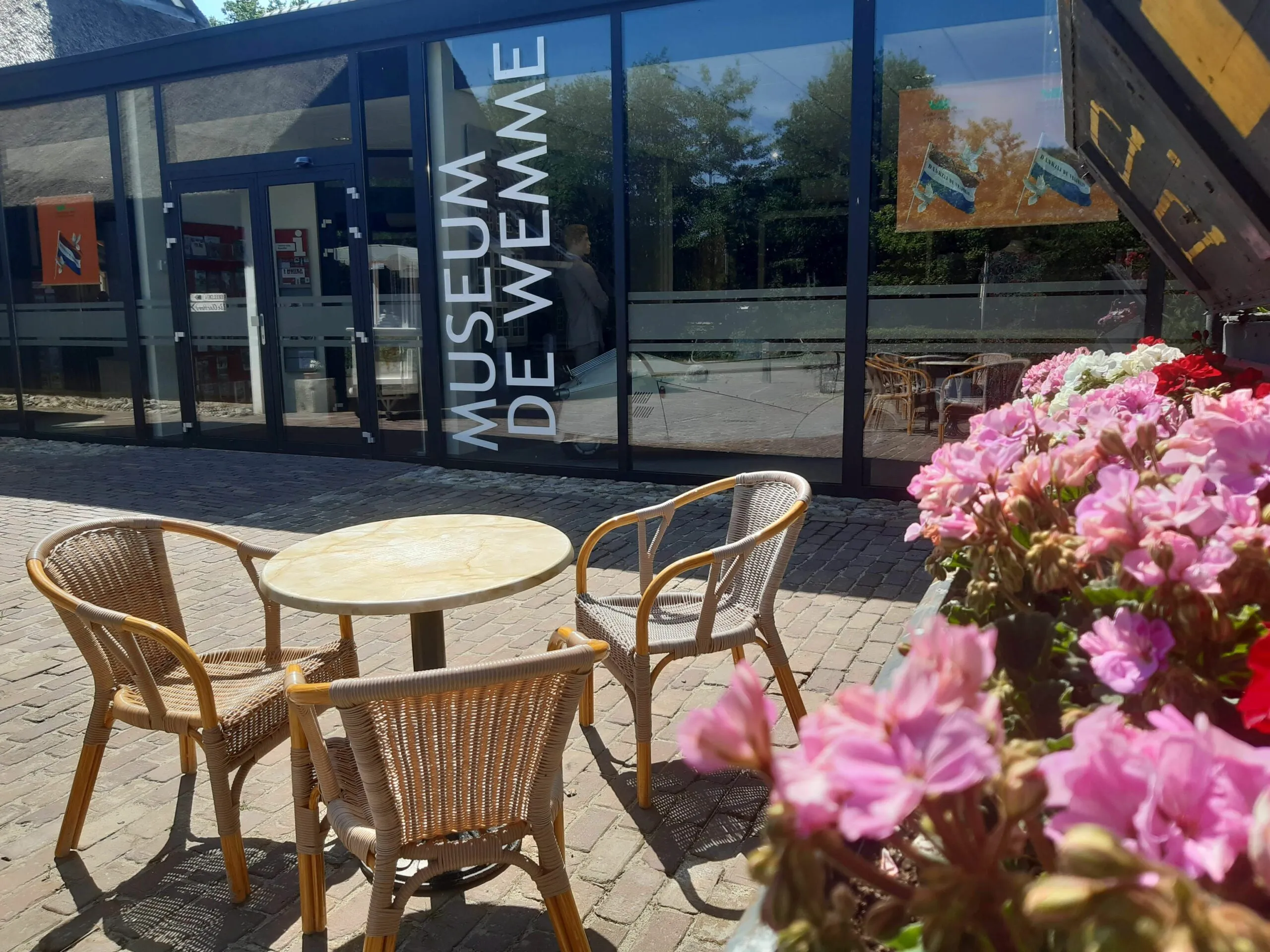 wemme gekleurd grijs scaled