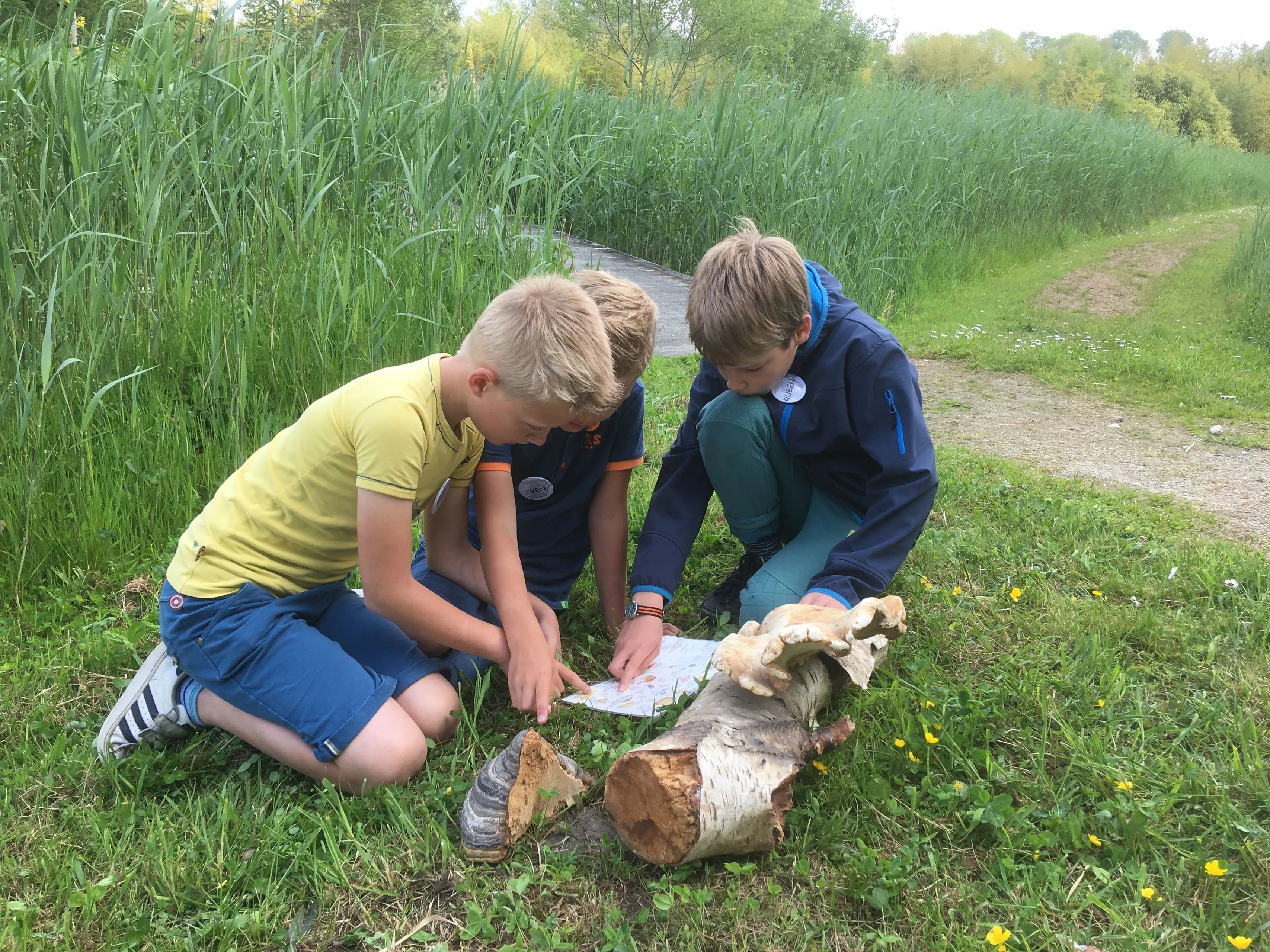 wieden foto jeugdnatuurclub